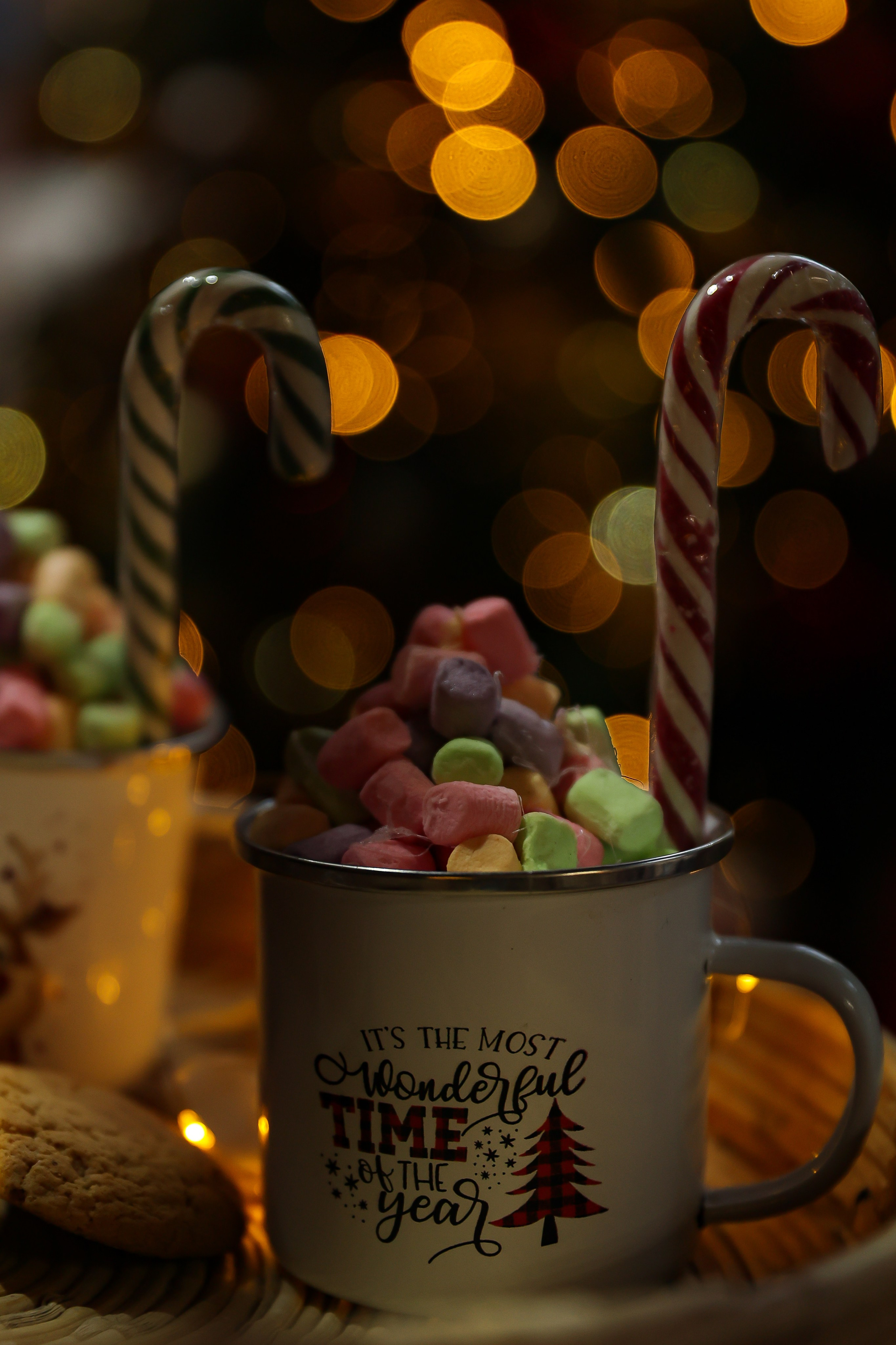 Новый год. Семейный фотограф Елизавета Лопотухина город Москва