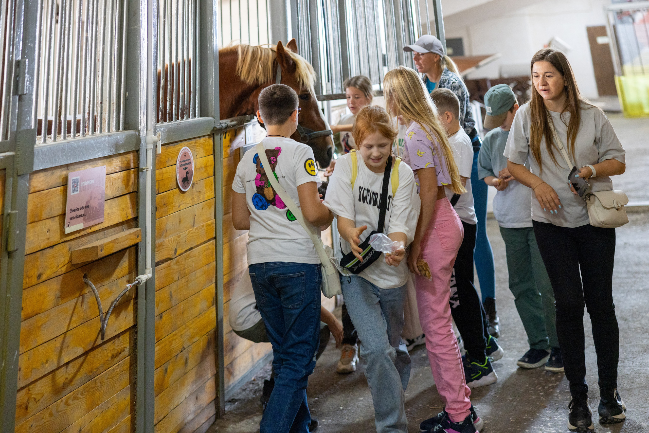 Поездка на поле Кулеково. Фотограф в Туле Крупский АнДРей. Фотостудия «КАДР71» в Туле