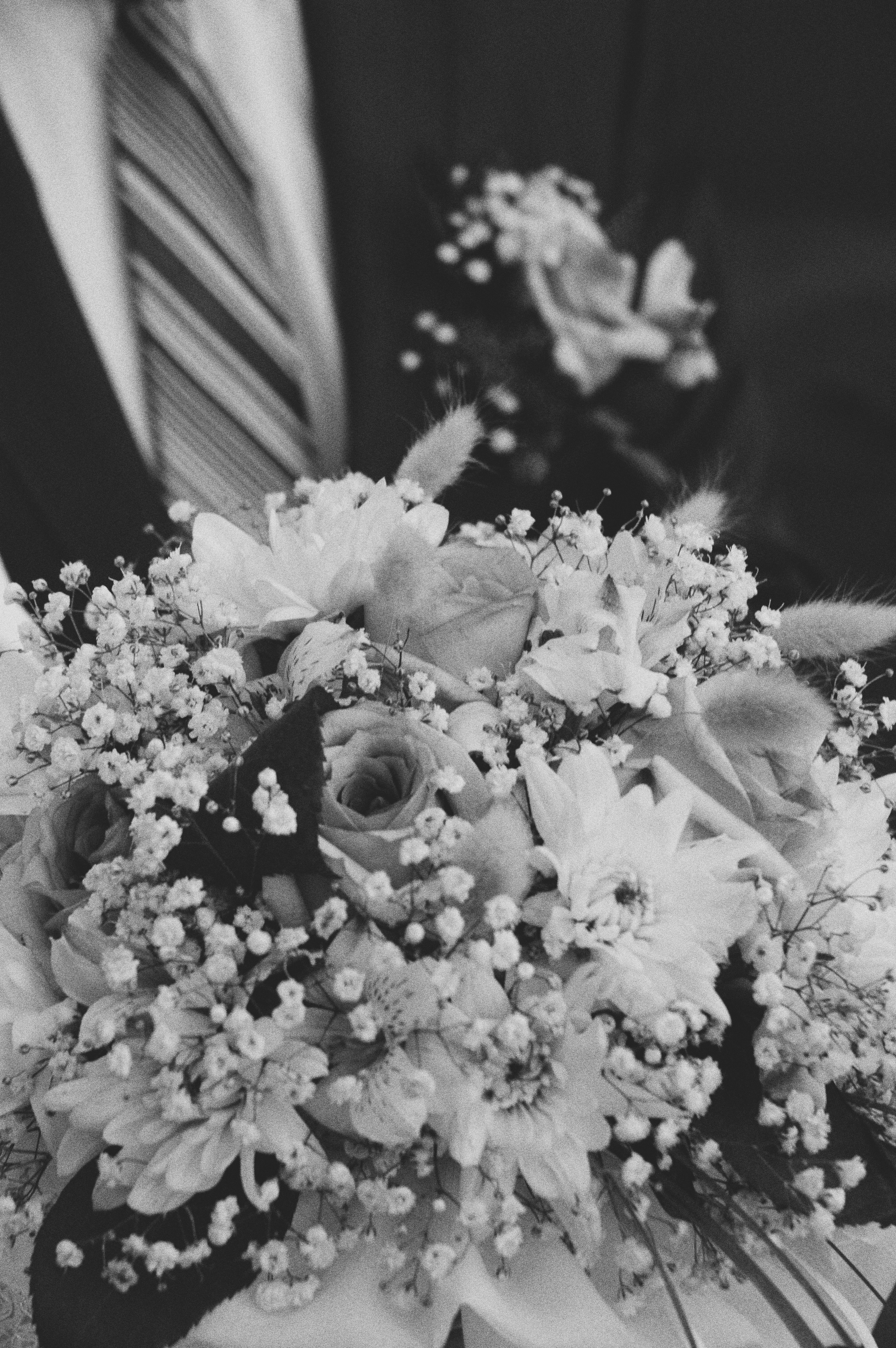 Кирилл и Анна. Свадьба в черно-белых фотографиях. Фотограф в городе Электросталь Ногинск Москва — Алексей Закхеев