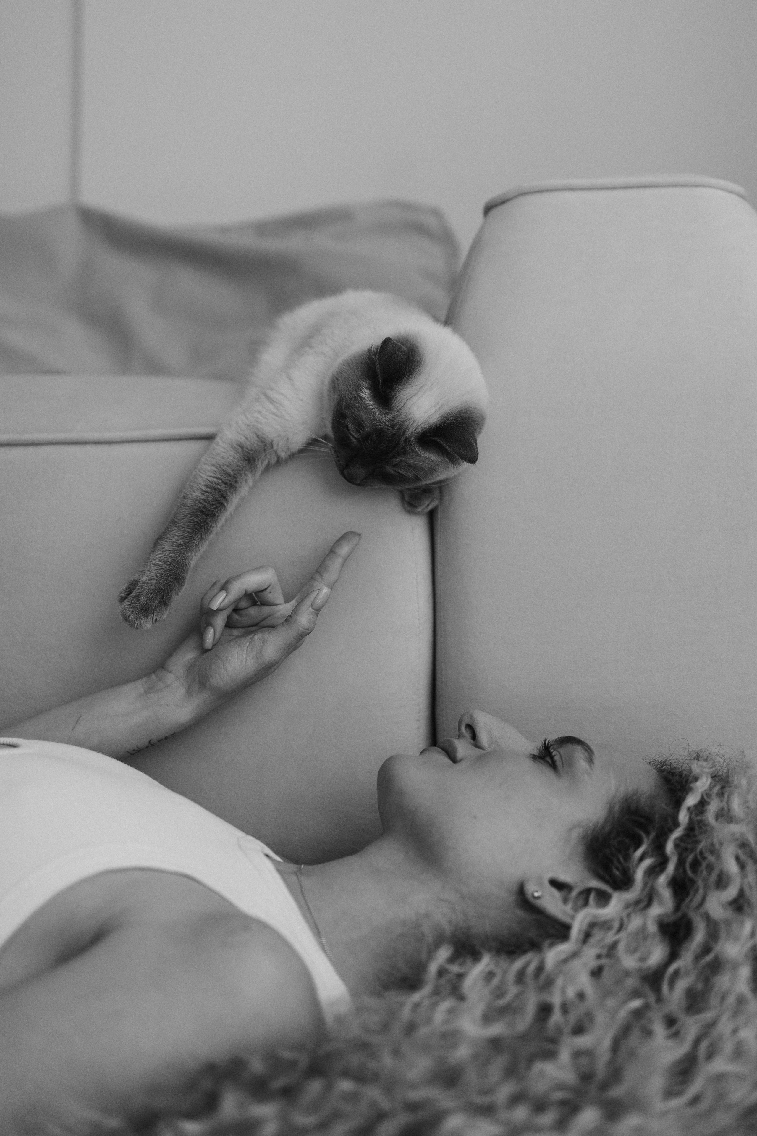 Бэлла, Деми и Луна. Фотораф — анималист Мария Шистка