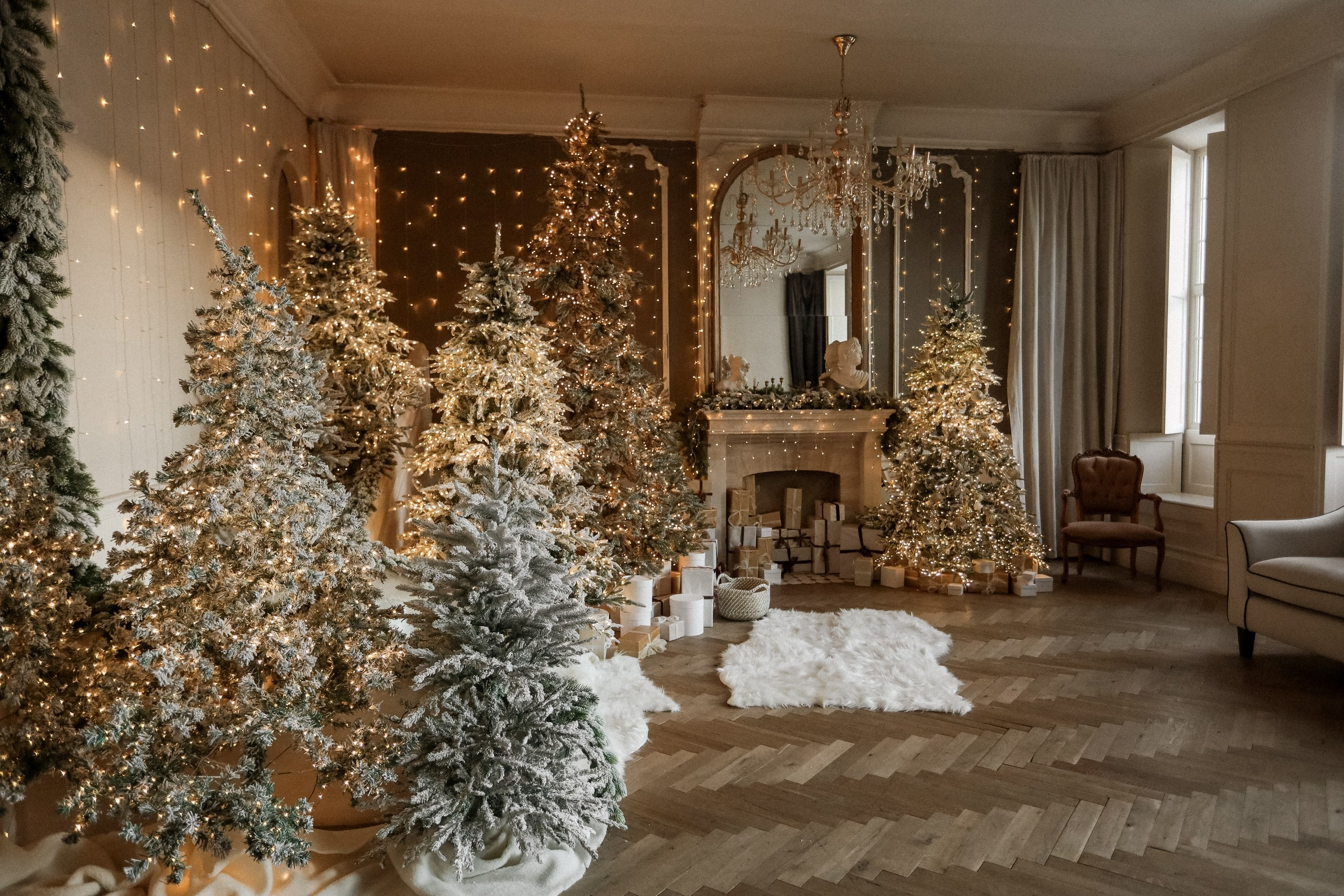 Фотостудия «Fine-Art» зал 1. Главная