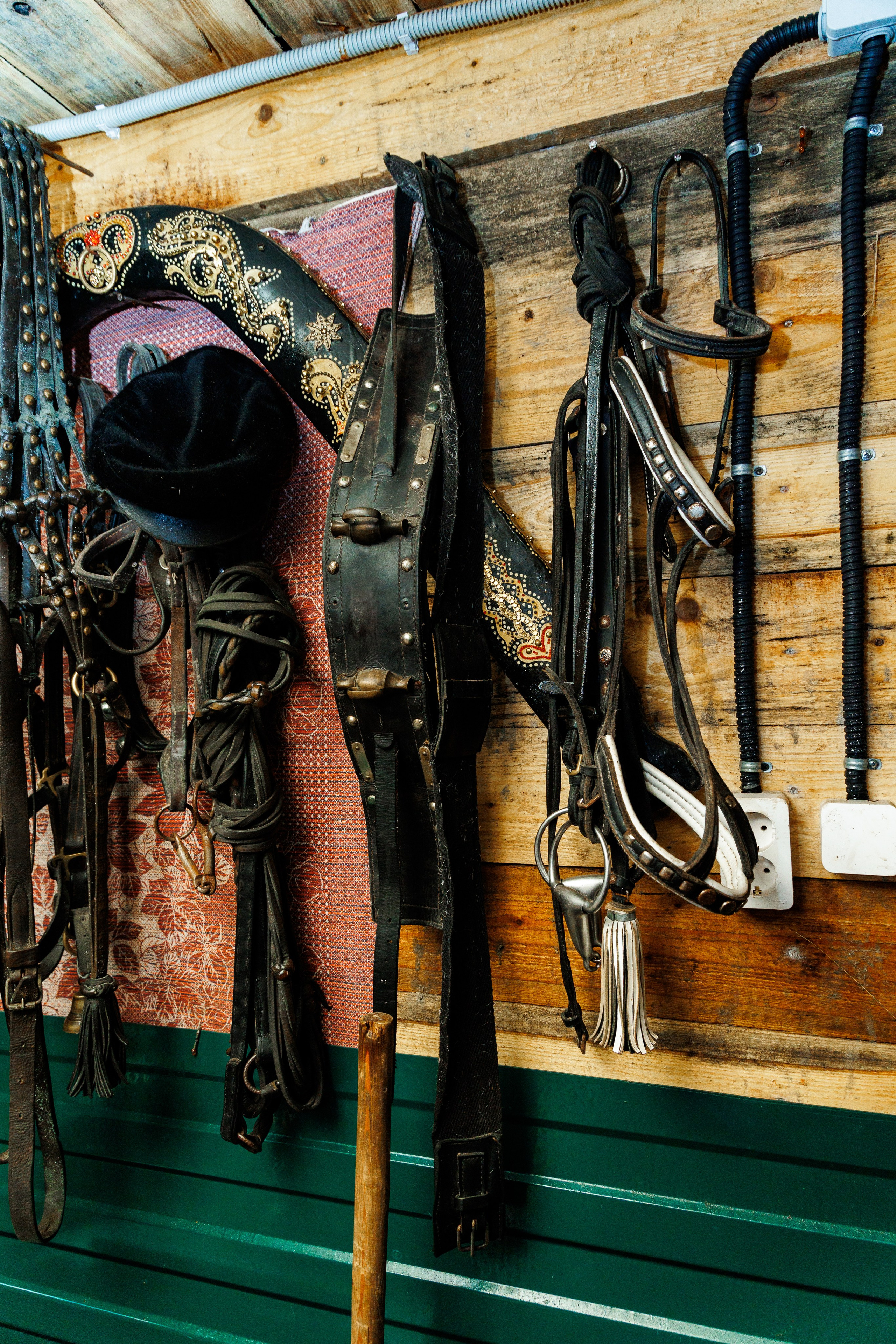 Миниферма в Теребочево. Свадебный и семейный фотограф в г. Волхов Алексей Кочерыжкин