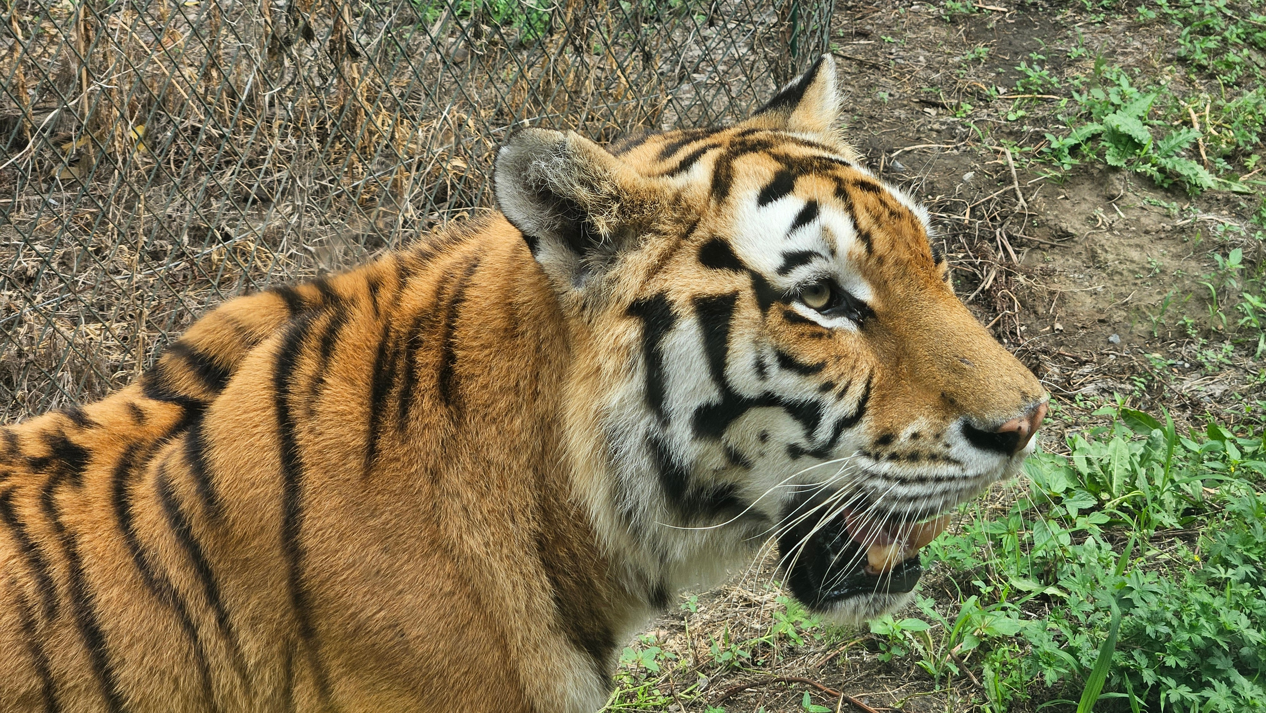 Китай. Июль 2025