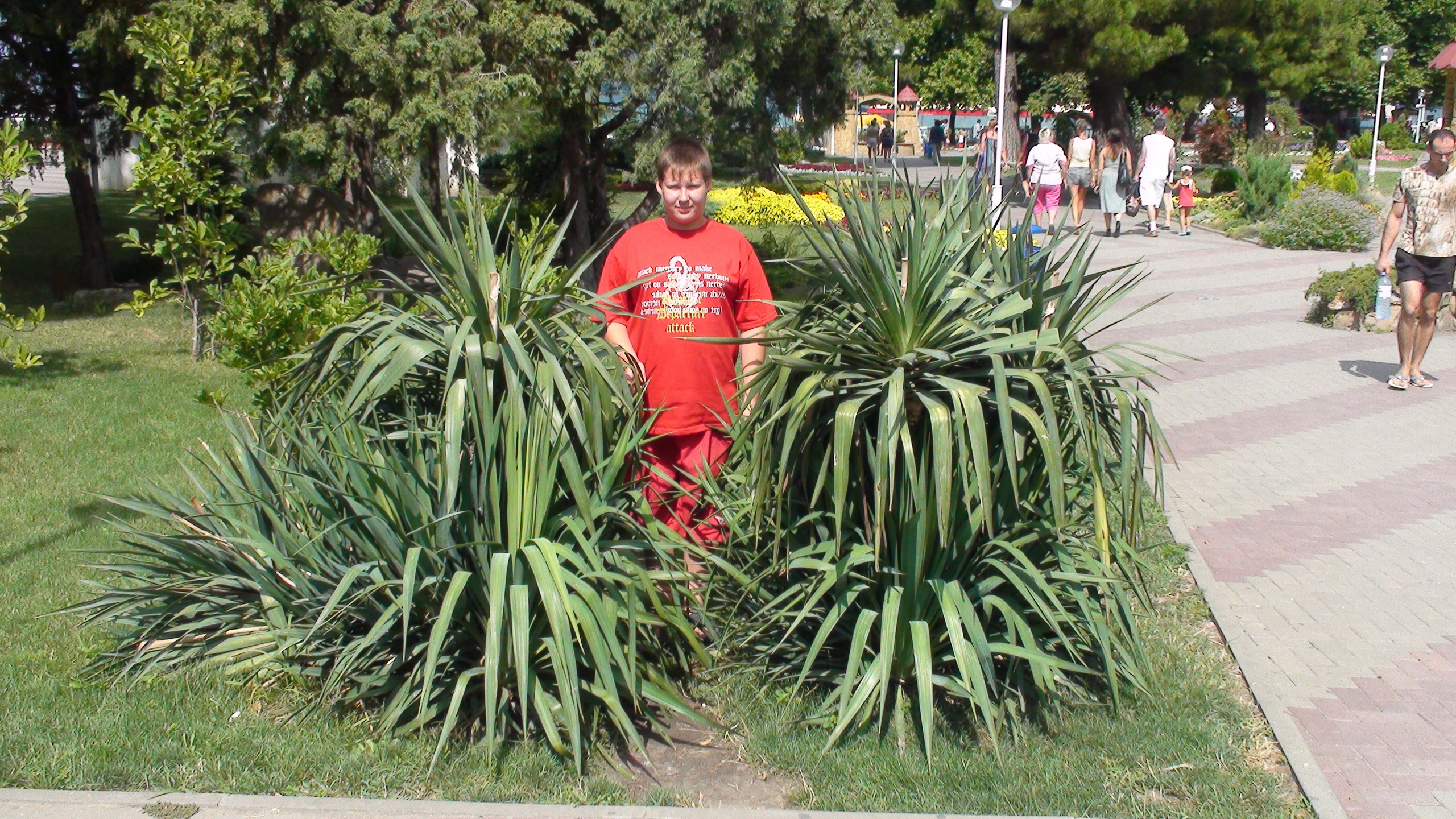 Отпуск 27.05-16.08. Семейный, Свадебный фотограф СПБ Питер— Романова Екатерина