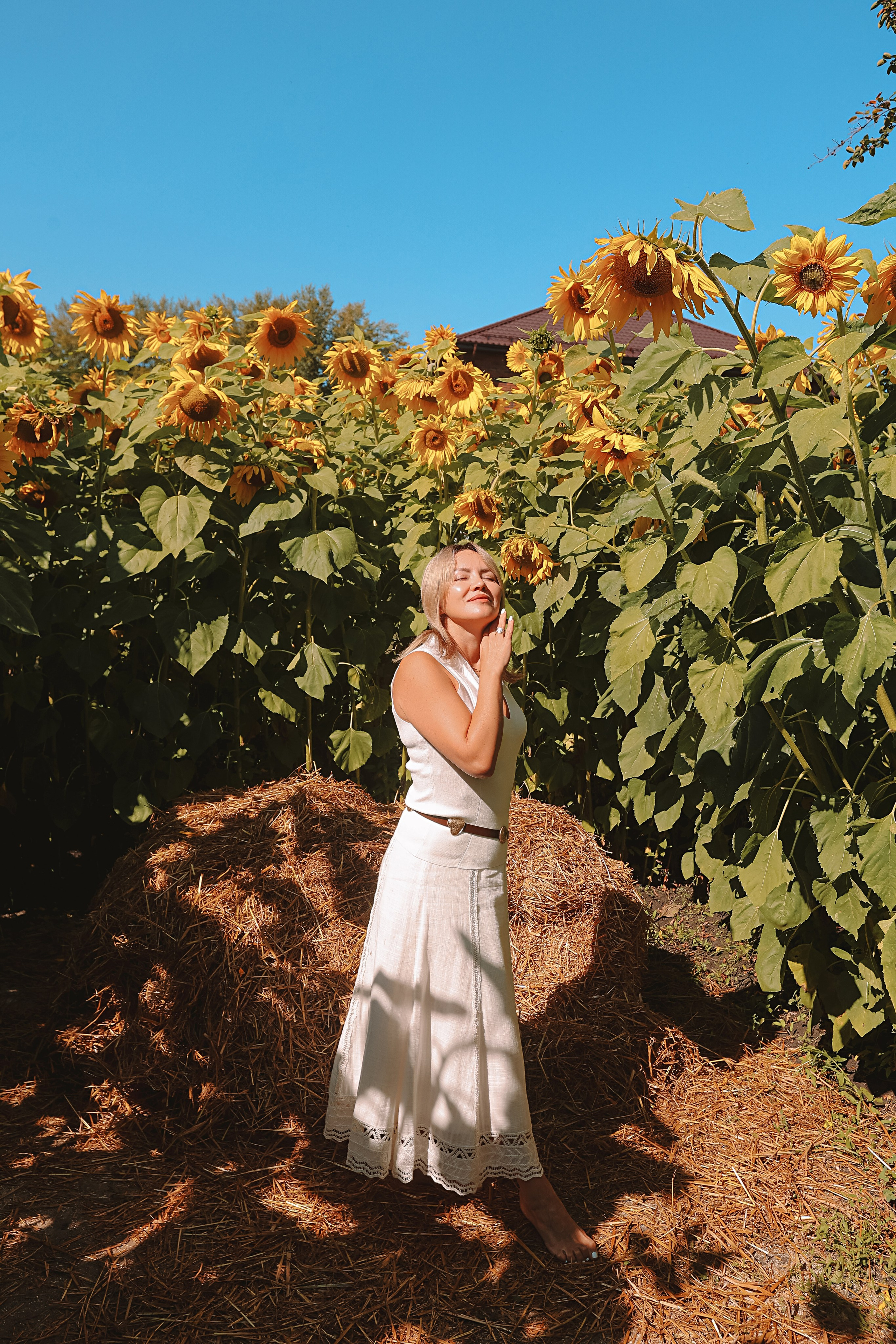 Подсолнухи. Семейный фотограф Тюмень, фотограф на роды Салмина Мария