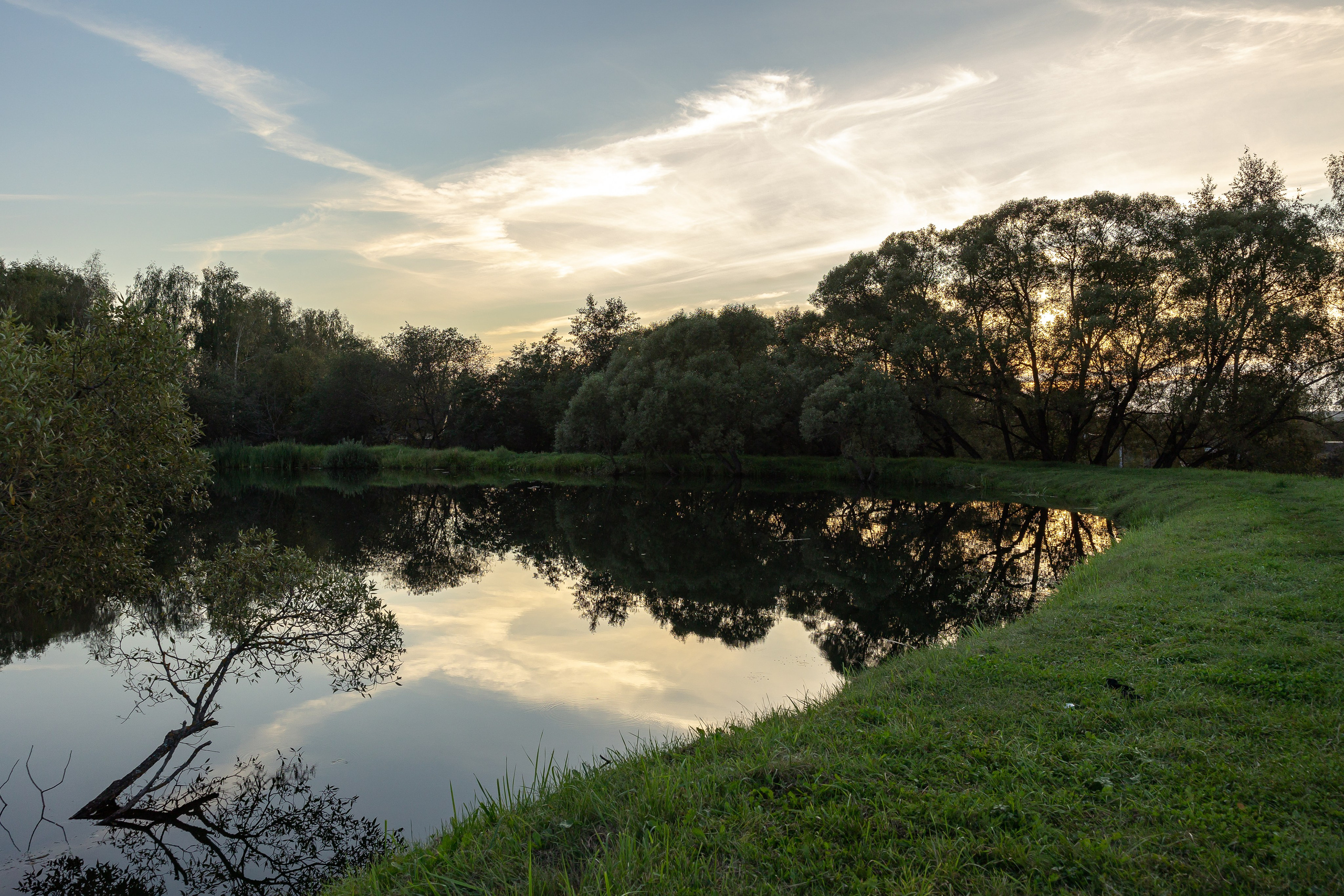 Кинопарк «Москино». Лисенкова Алиса — Фотограф, видеомейкер. Москва