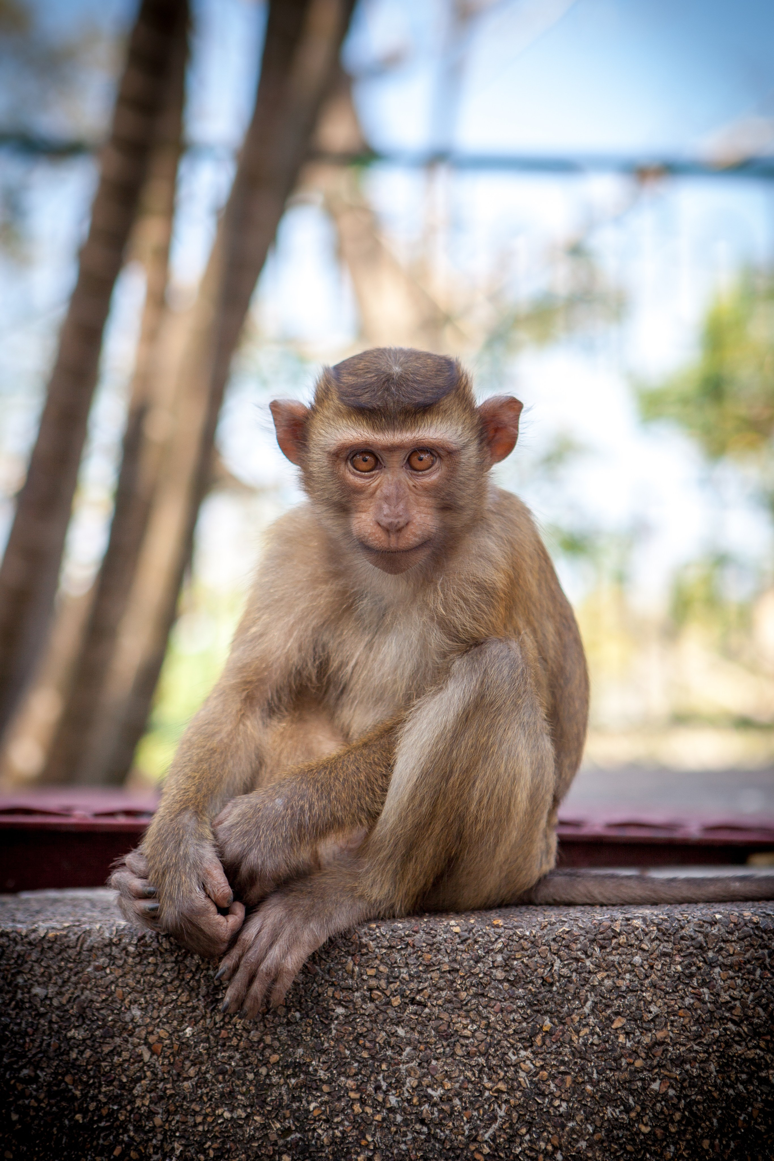Пхукет. Фотография, ретушь, сканирование, восстановление старых фото, интерьерная съёмка, студия. Данилов Александр, Москва