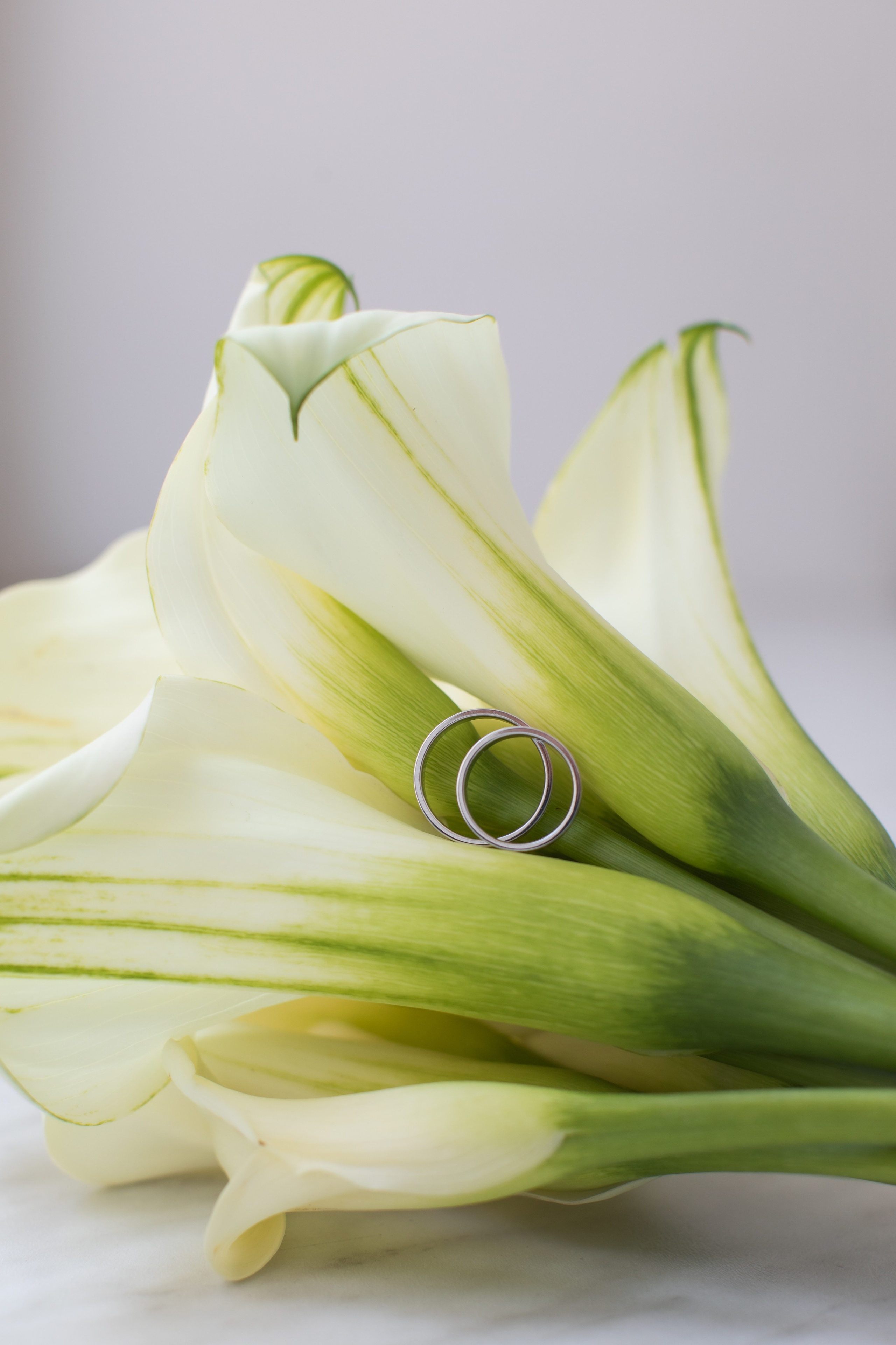 Свадебная съёмка С. и М. Брук Артём