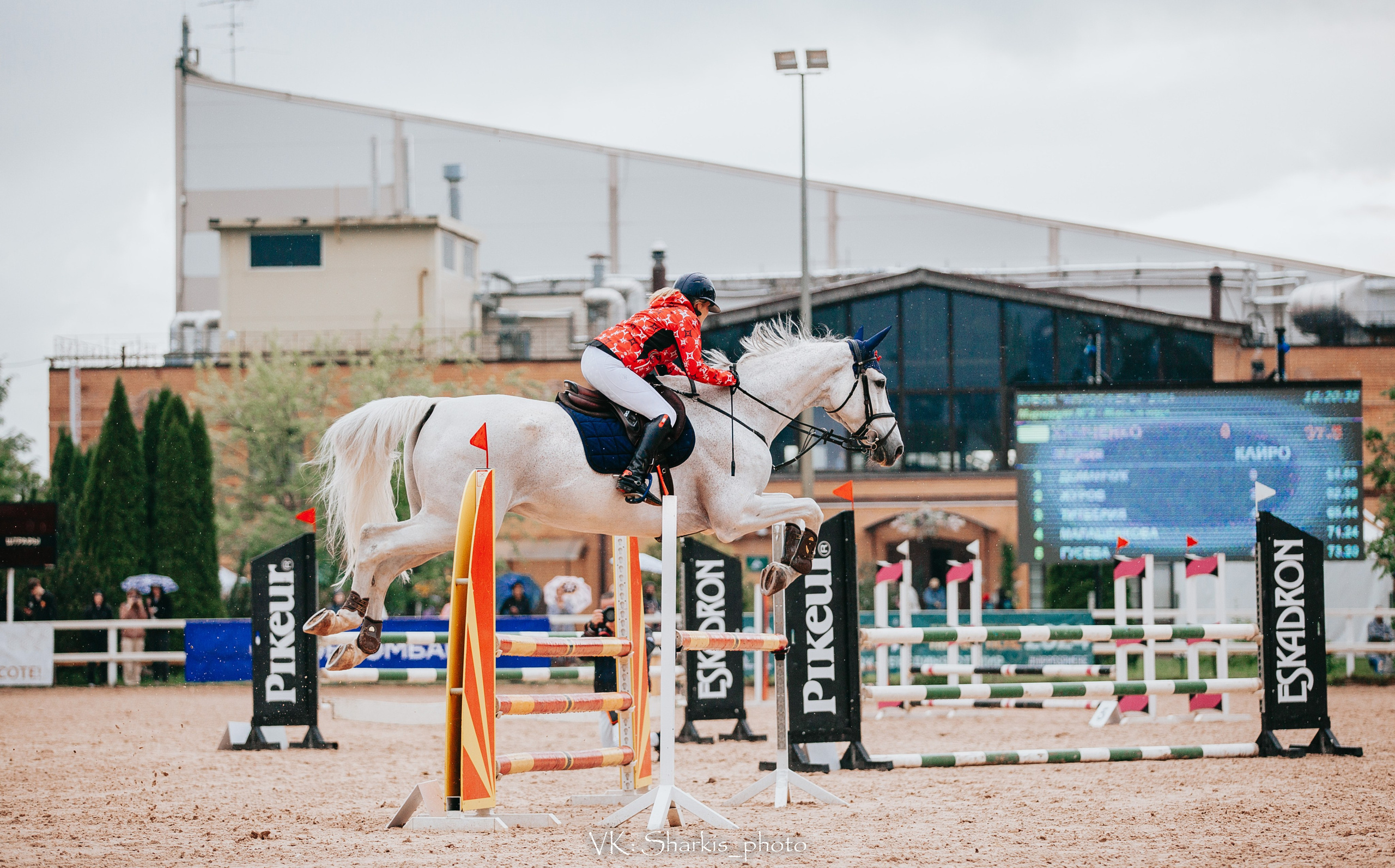 Лошади. Главная