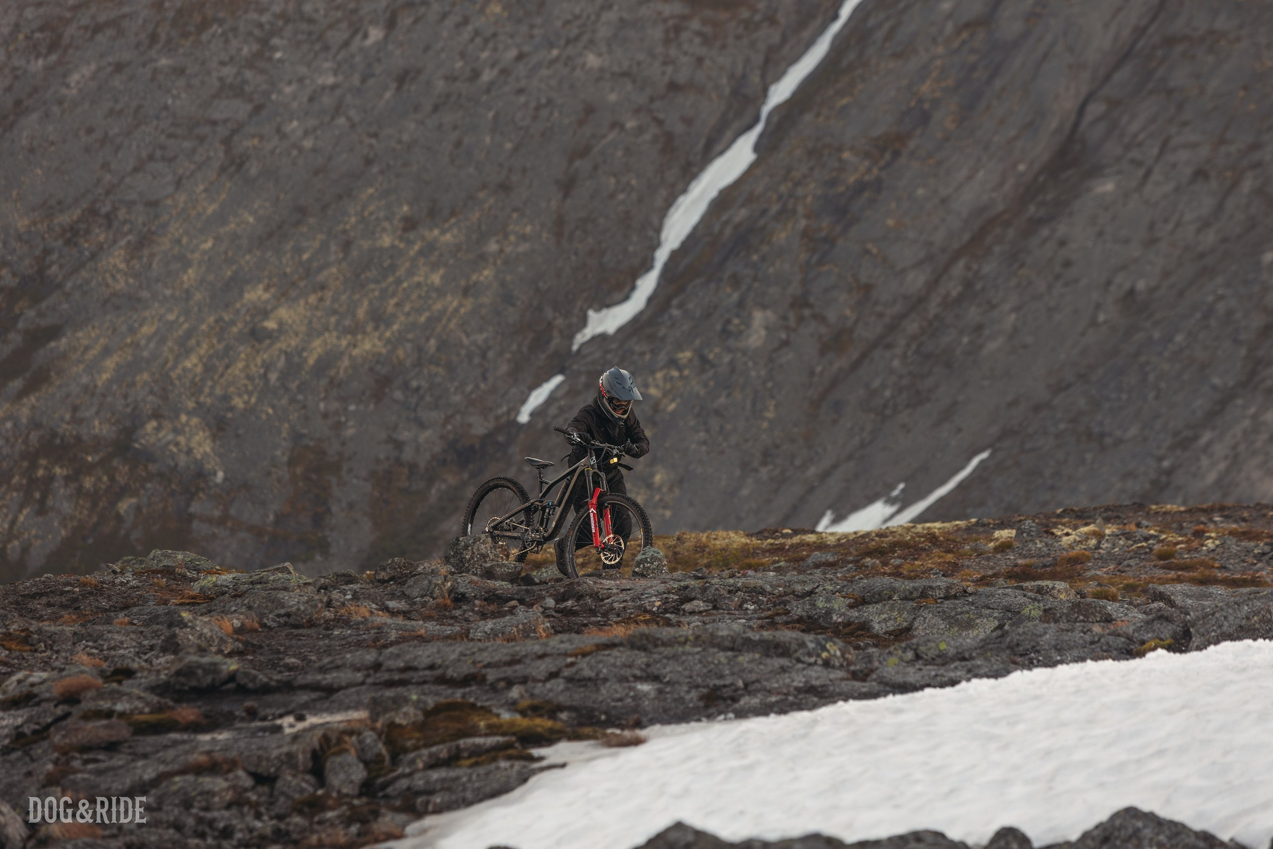 Хибины. Фотограф анималист Никита Натальный