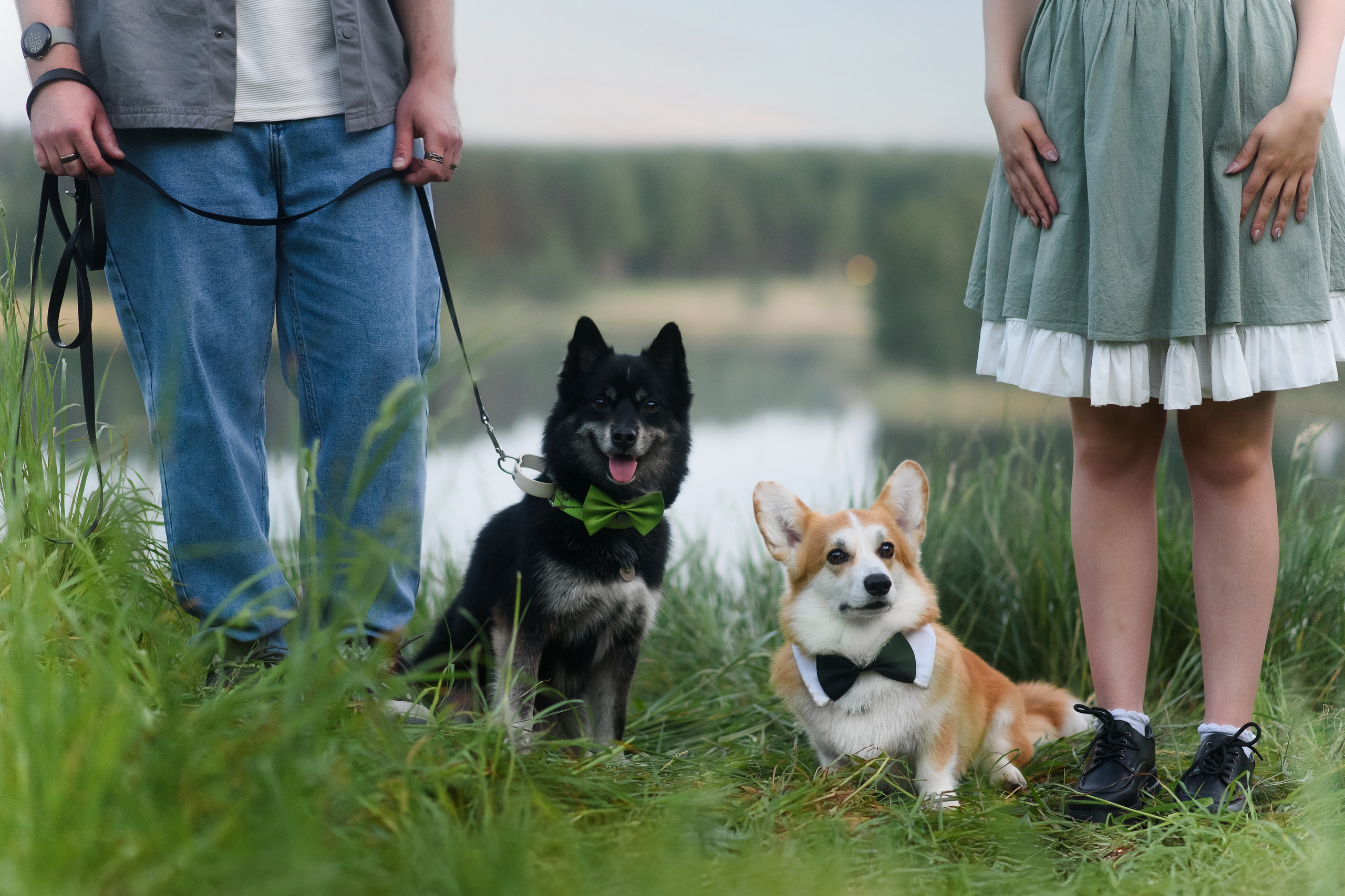 Максим, Надя, Шелби и Рой — 31.05.2025. Фотограф — Анималист | Анна Абрамова