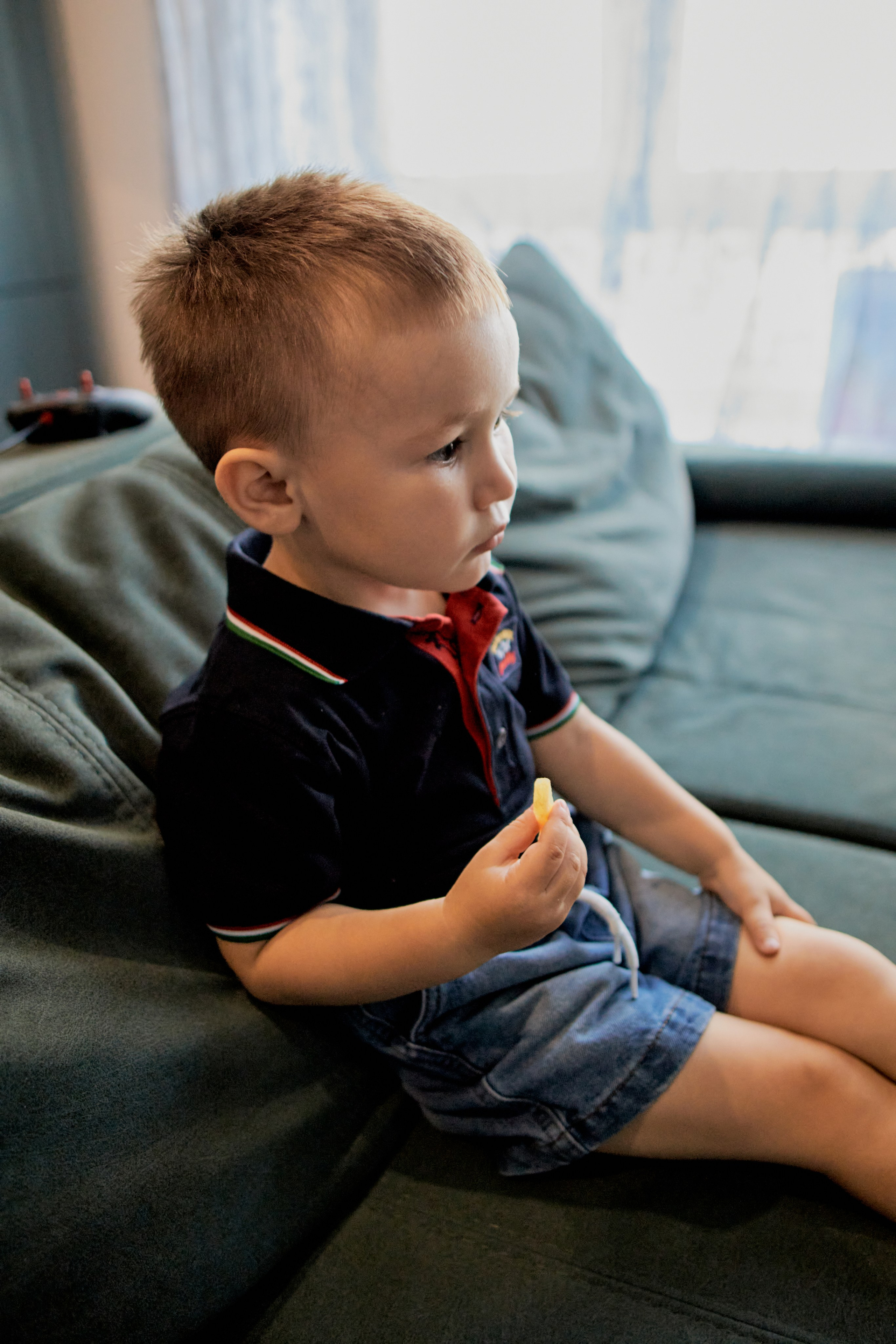 Три кота. Фотограф Москва