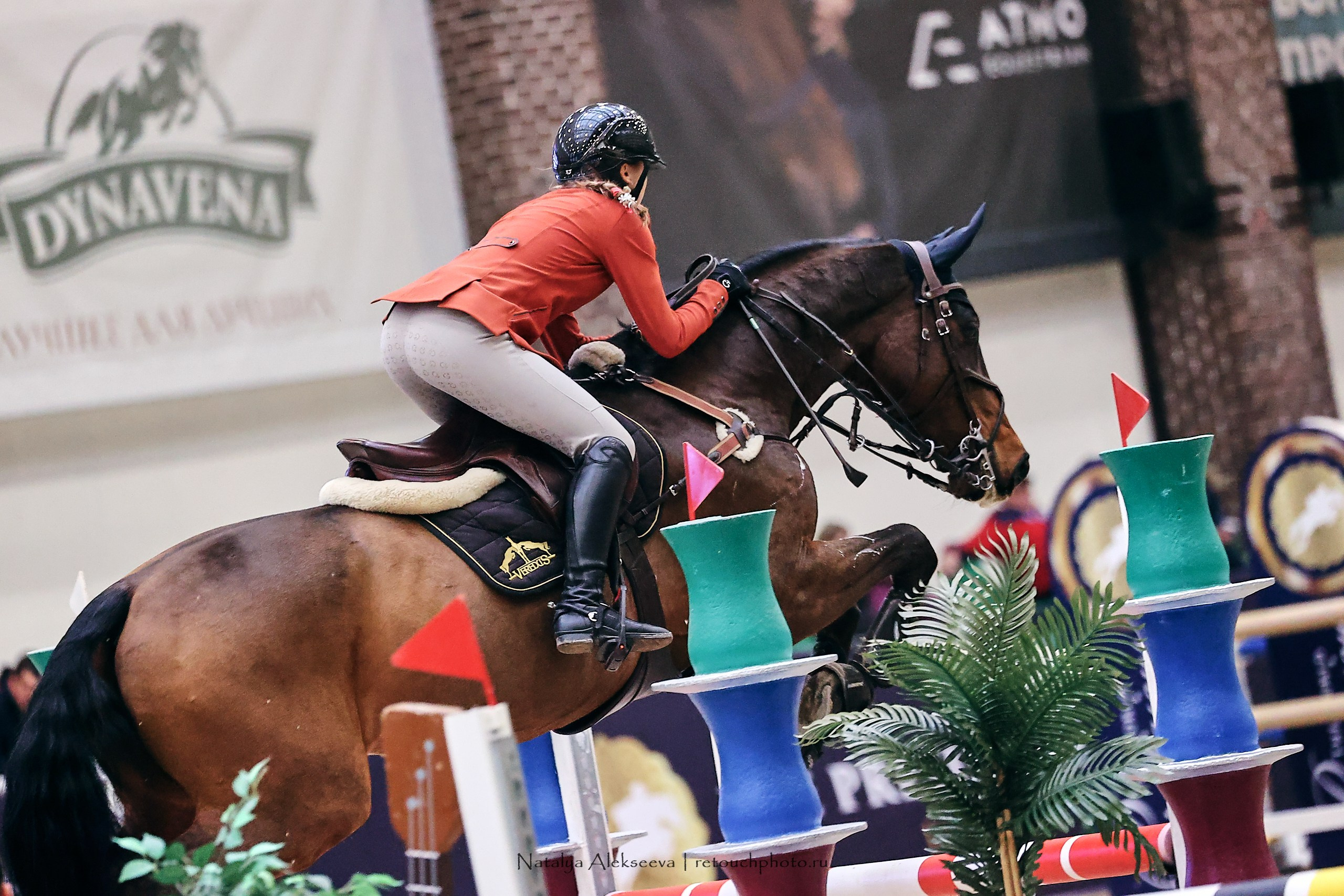 Кубок Президента ОАЭ по конкуру, Maxima Stables | 11'2023. Репортажный фотограф и ретушер в Москве Наталья Алексеева