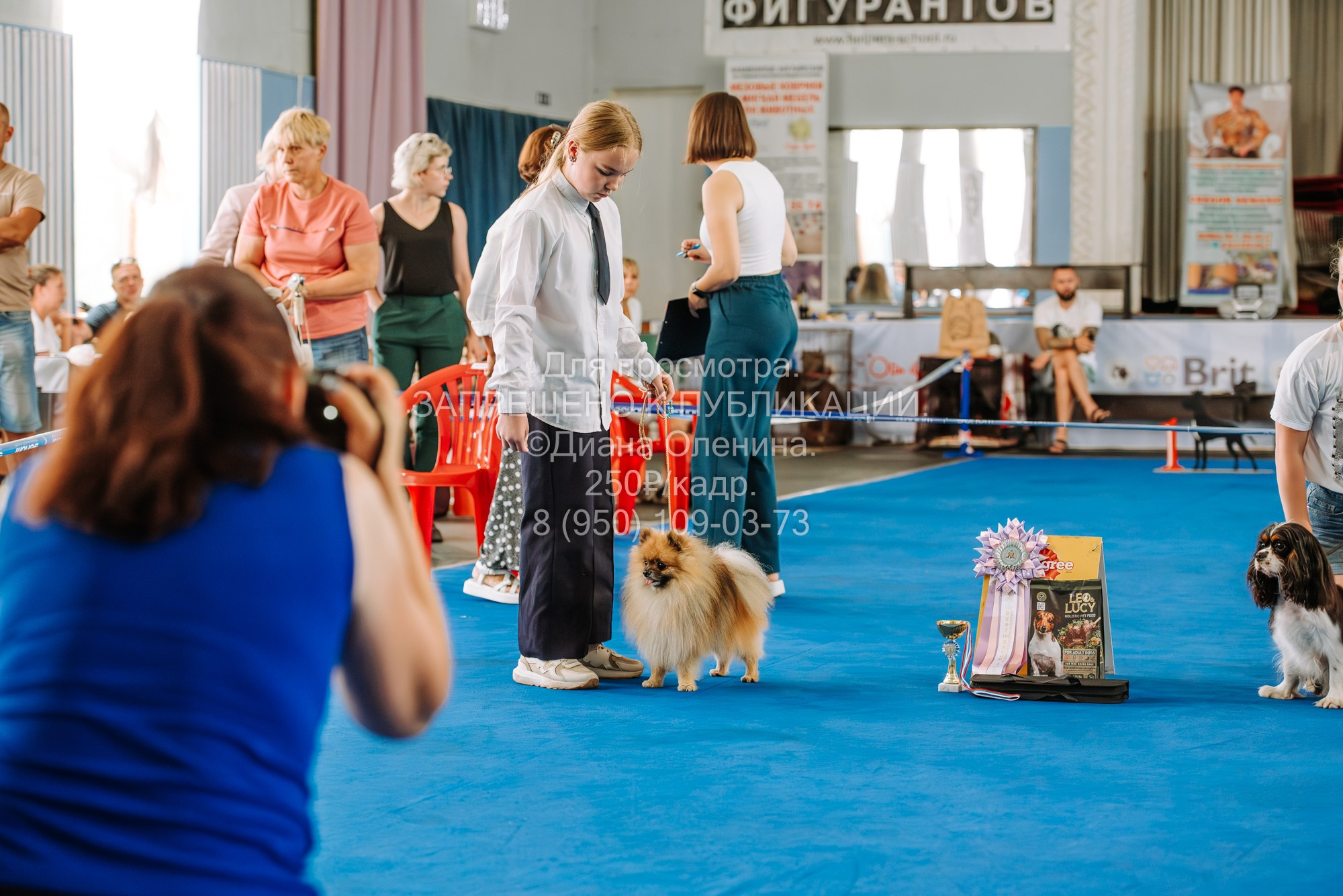 Национальная выставка собак всех пород ранга САС-IKU «Кубок Красноярск. Фотограф Диана Оленина Красноярск / Братск