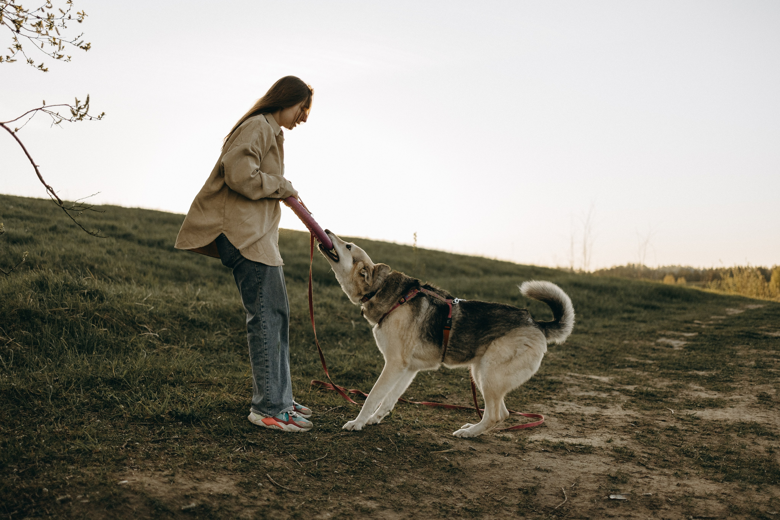Саша и Зельда. Фотограф — Анималист | Санкт-Петербург