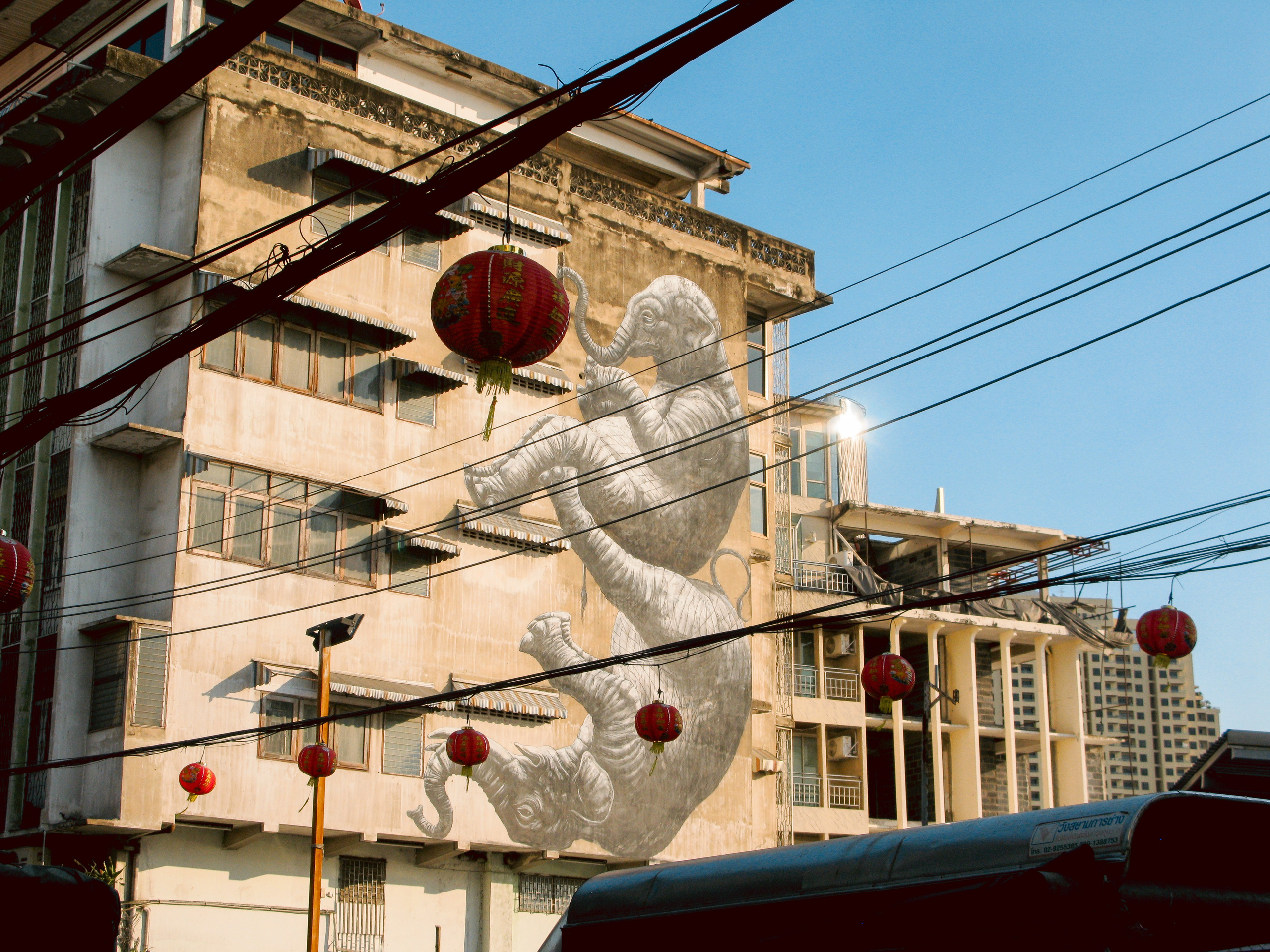 Thai. Фотограф Миланазавр