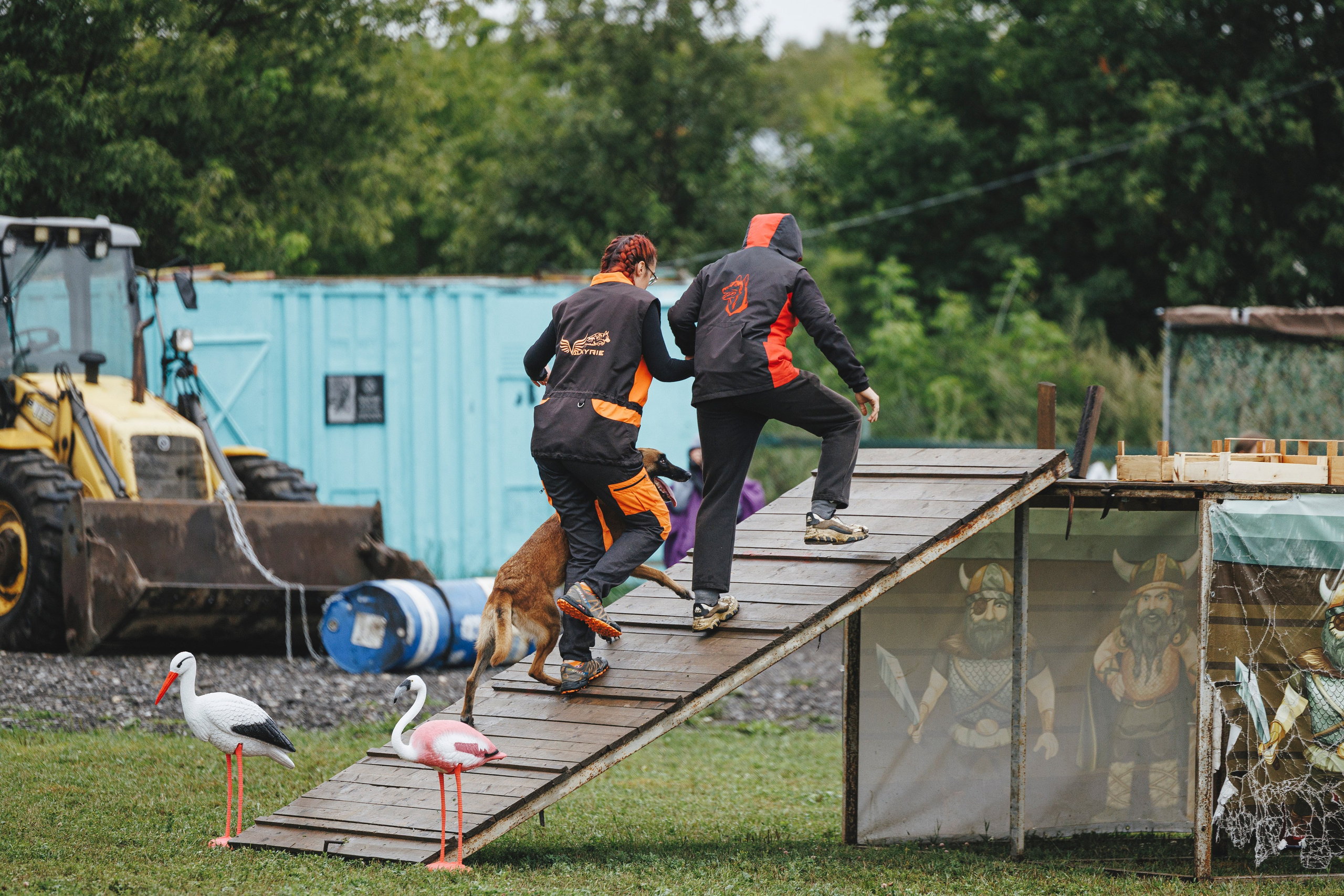 08.08.25-10.08.25 ЧР по мондьорингу г. Вологда. Фотограф-анималист Анна Маринич