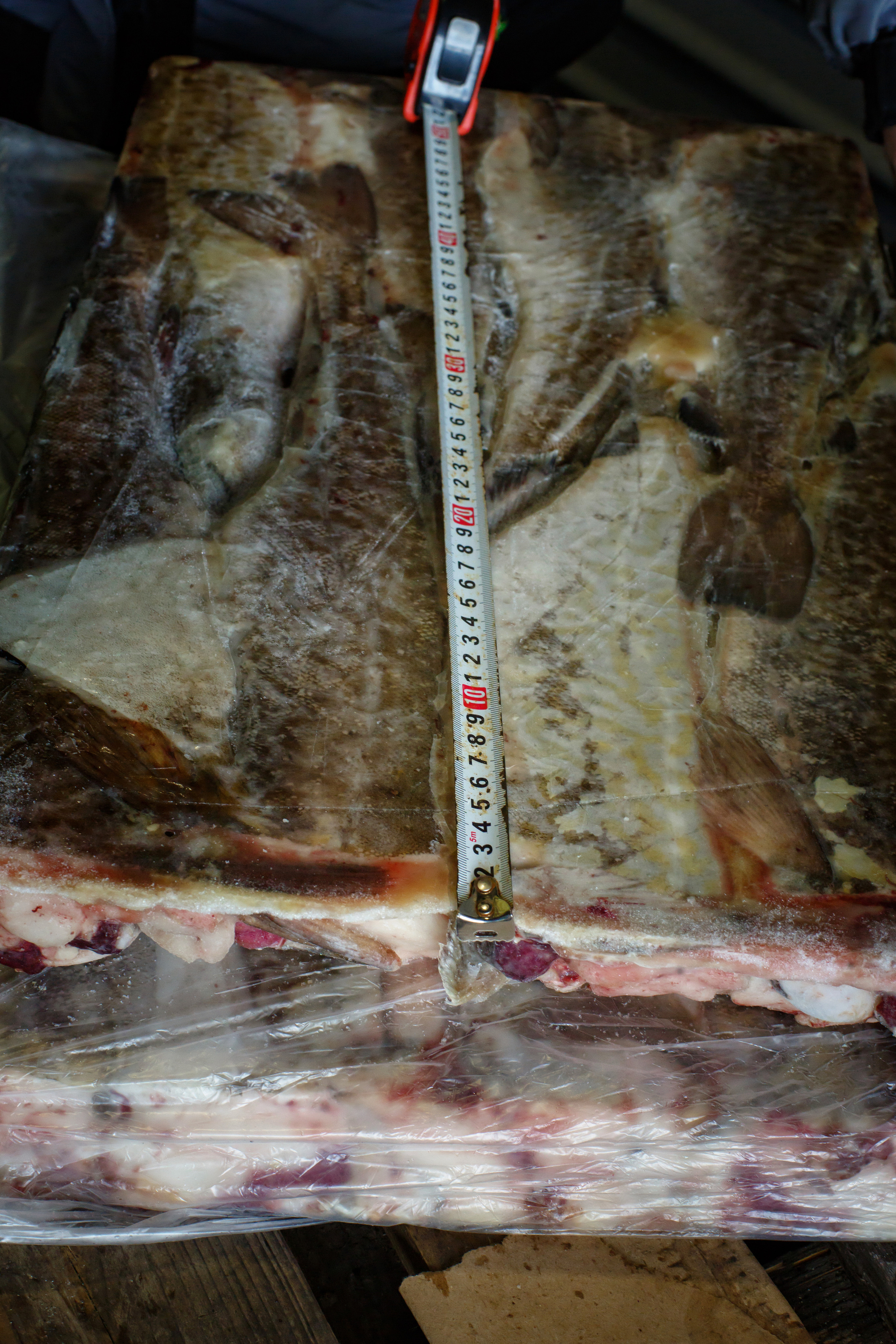 Архитектурная и средовая съёмки. Фотограф Евгений Казекин