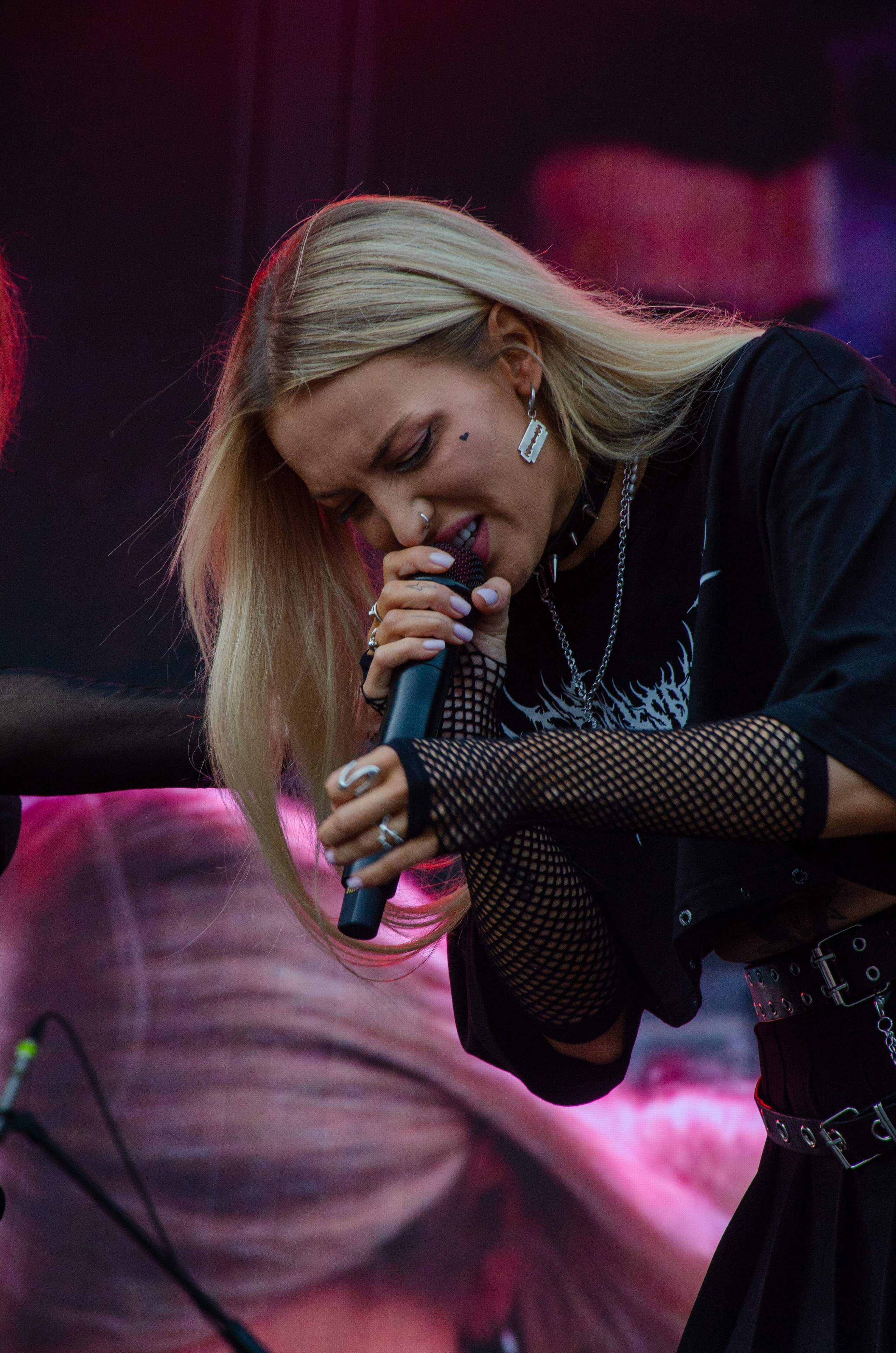 Черника Фест. Фотограф Универсал в Новосибирске