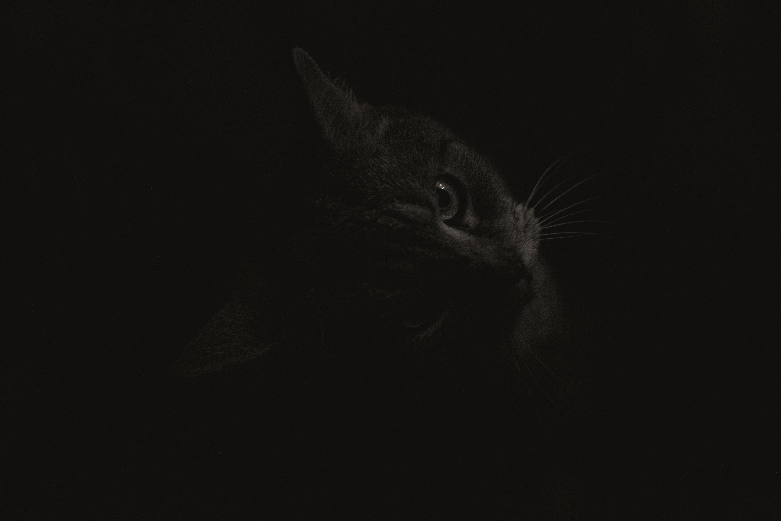 Характер. Dmitriy [KCCC] is a pretty cool photographer