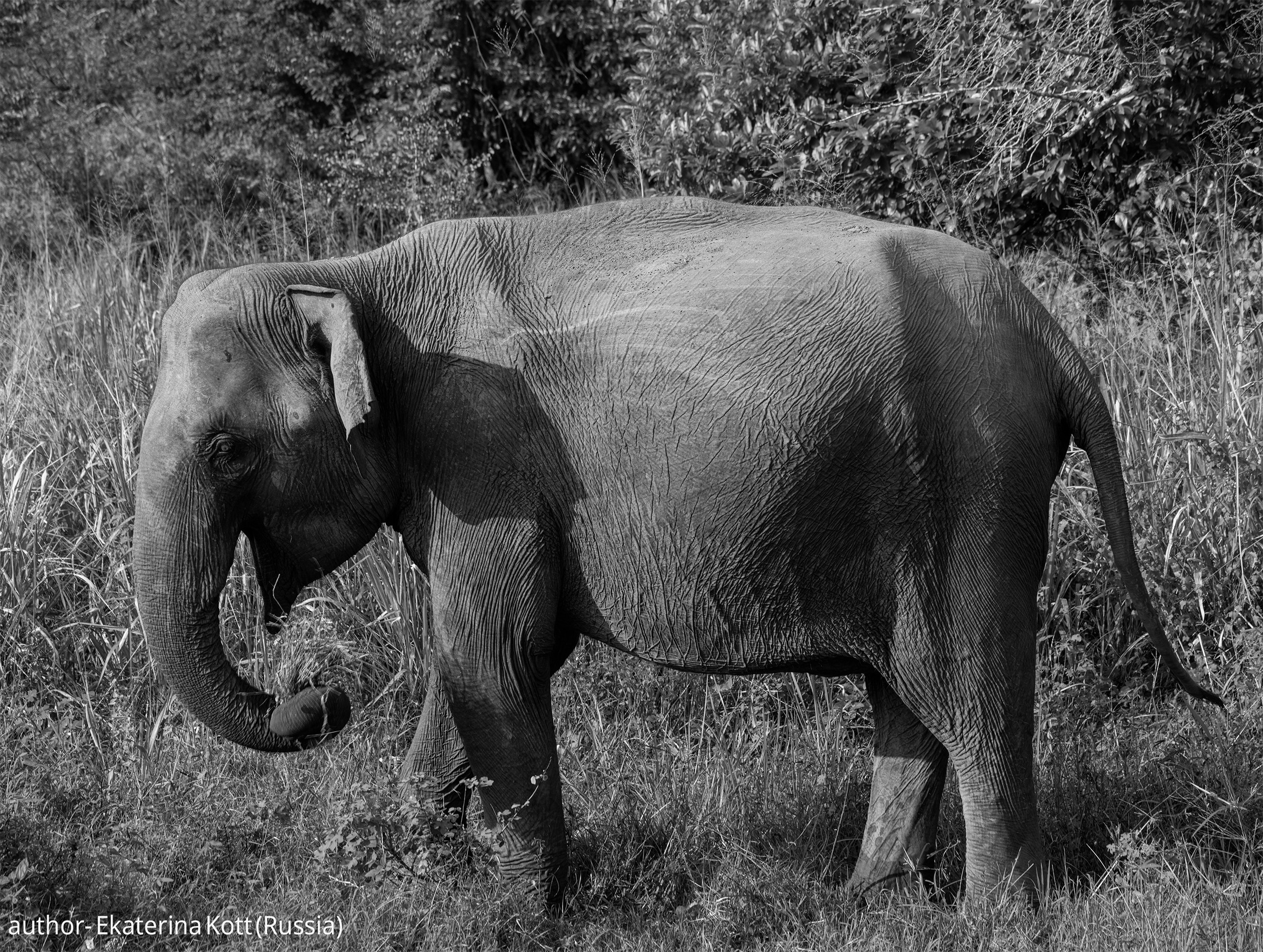 Gallery. UNUSUAL TALENT magazine