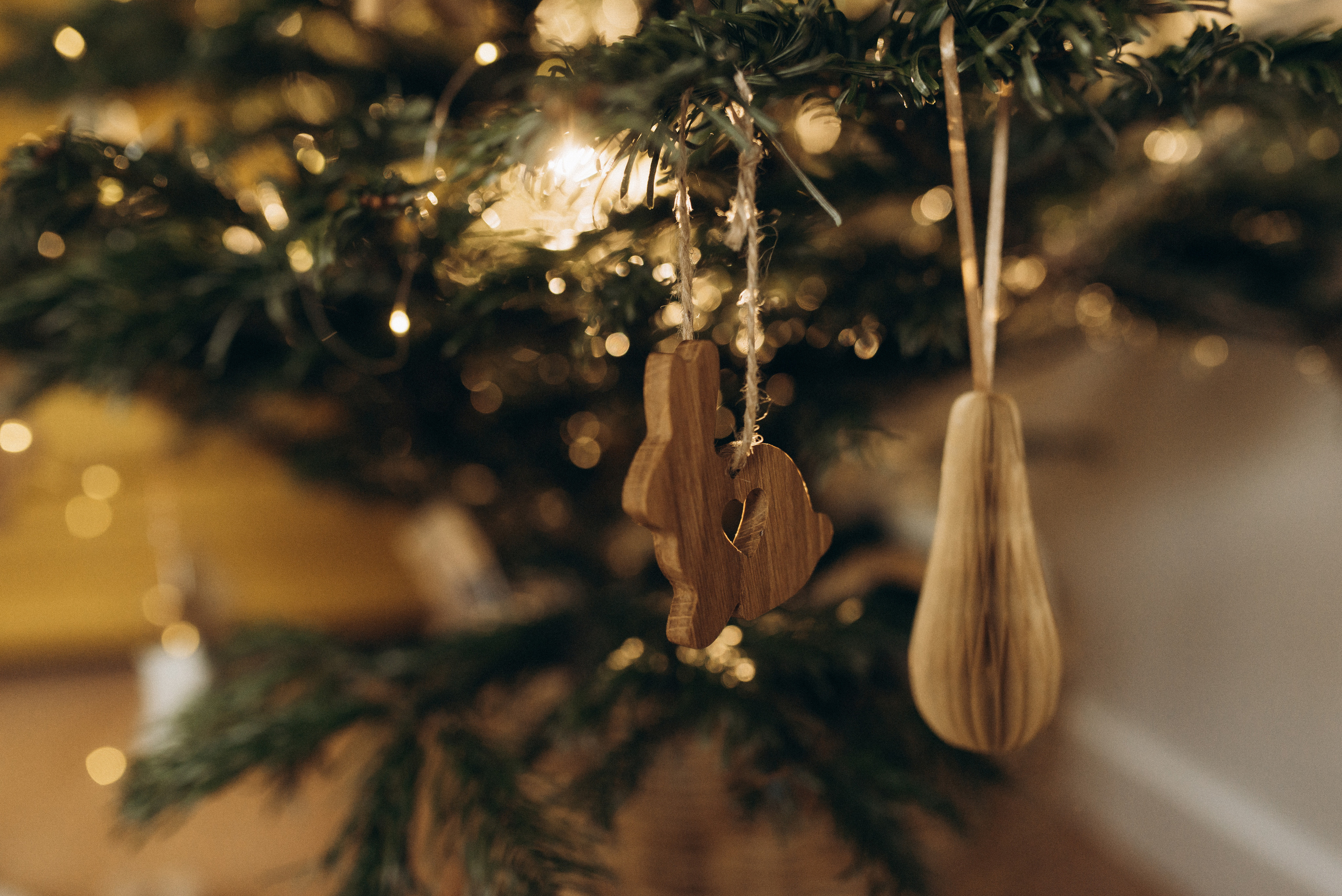 Оля и Максим. Семейный фотограф в Москве Алина Сергеева