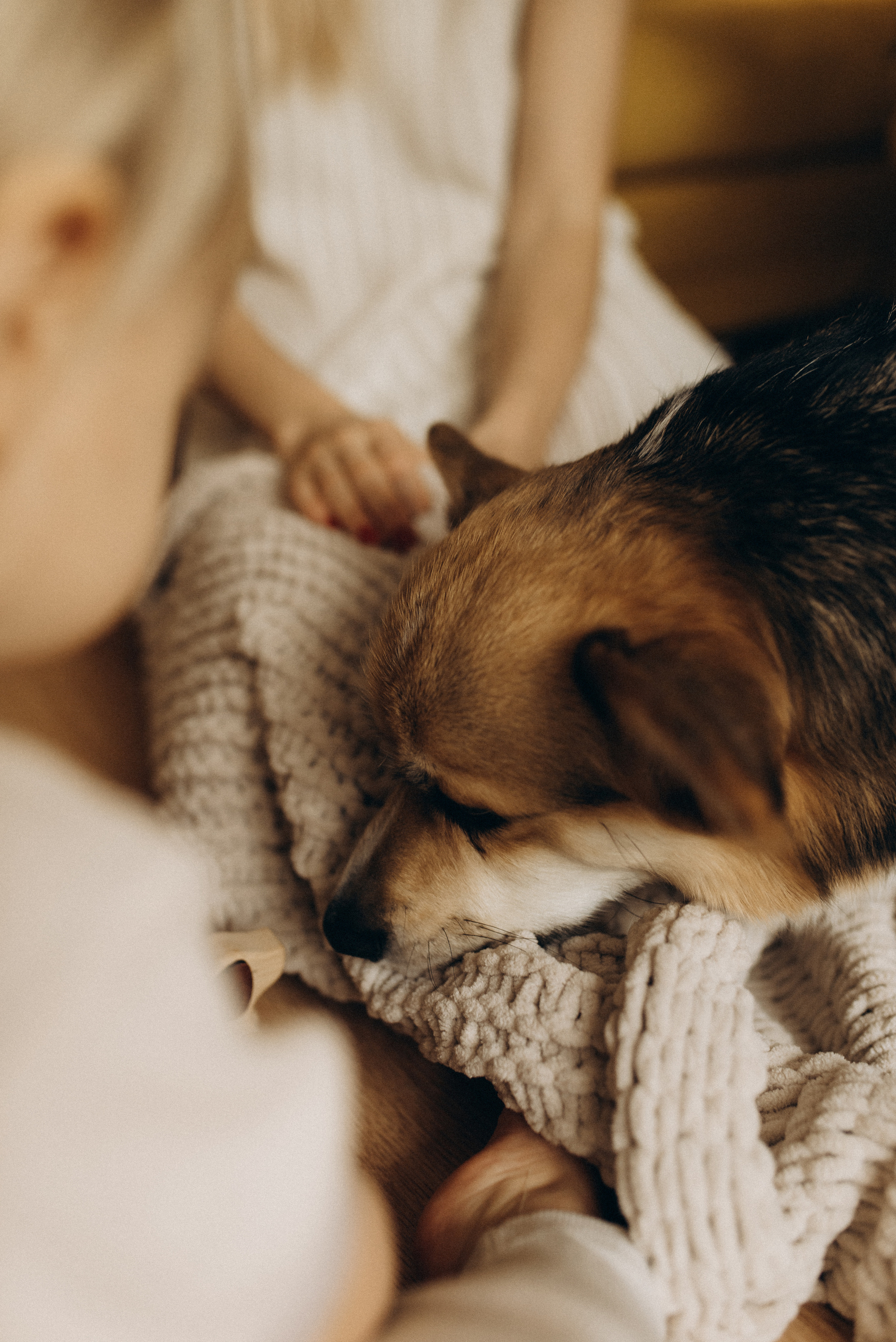 Оля и Максим. Семейный фотограф в Москве Алина Сергеева