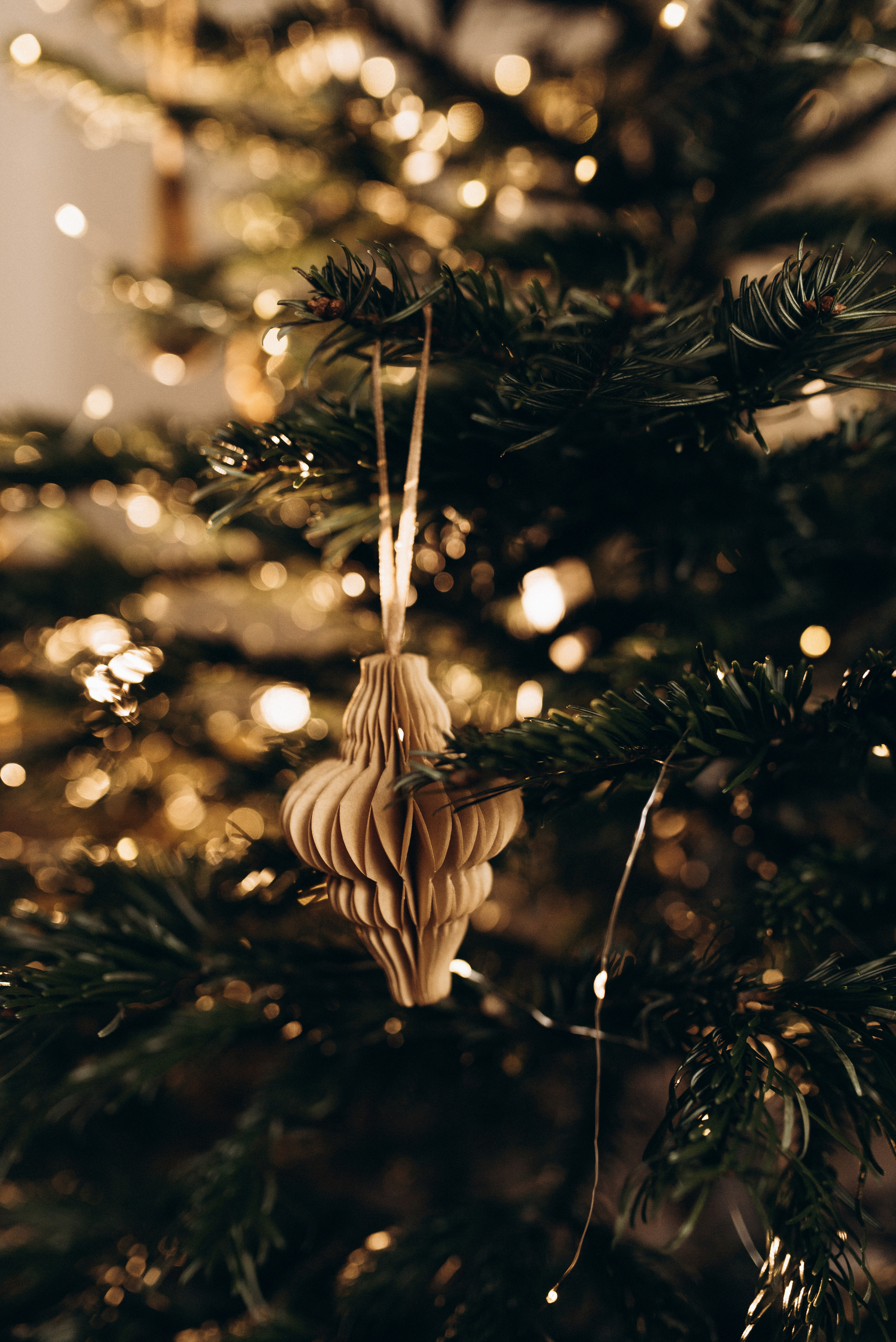 Оля и Максим. Семейный фотограф в Москве Алина Сергеева