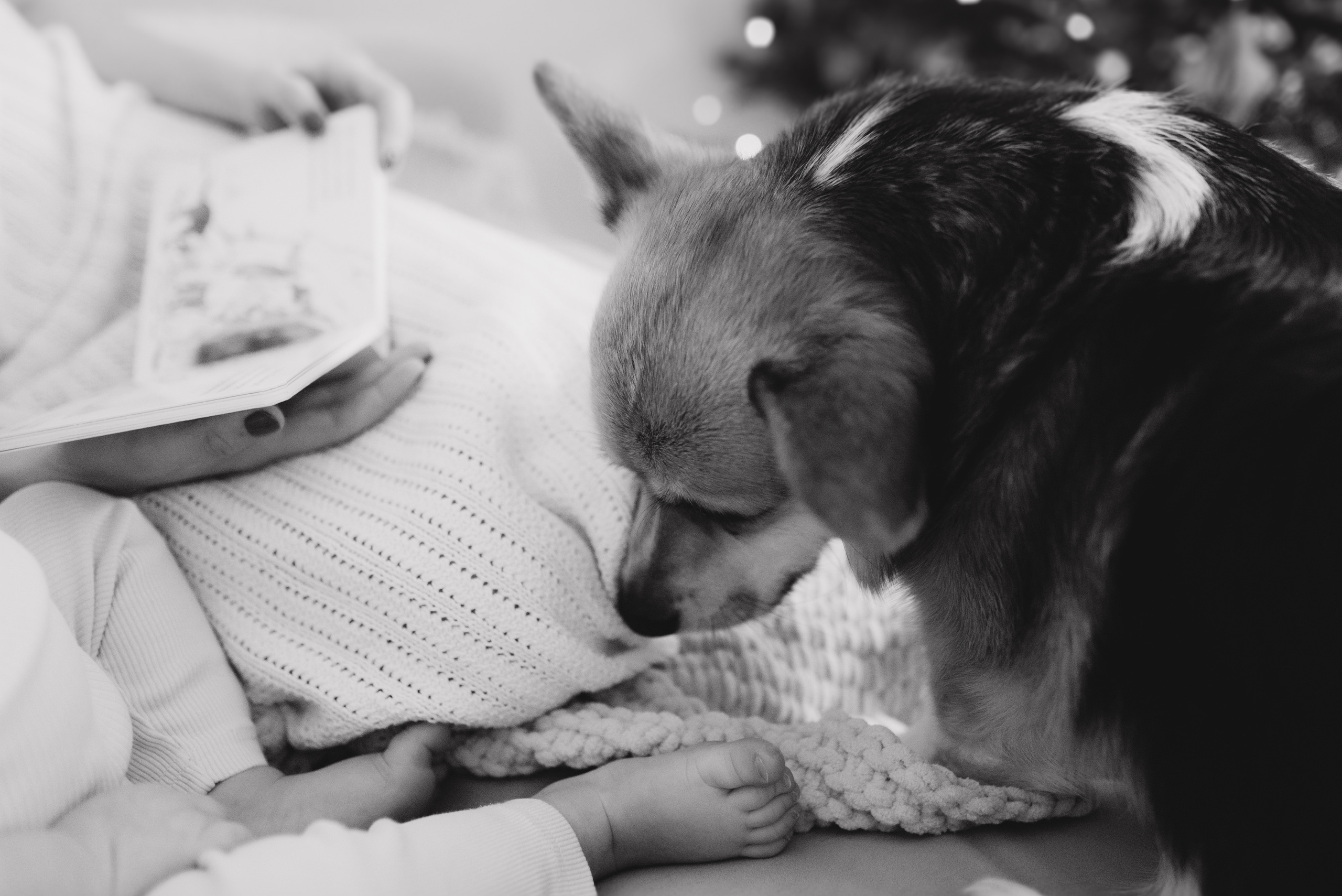 Оля и Максим. Семейный фотограф в Москве Алина Сергеева