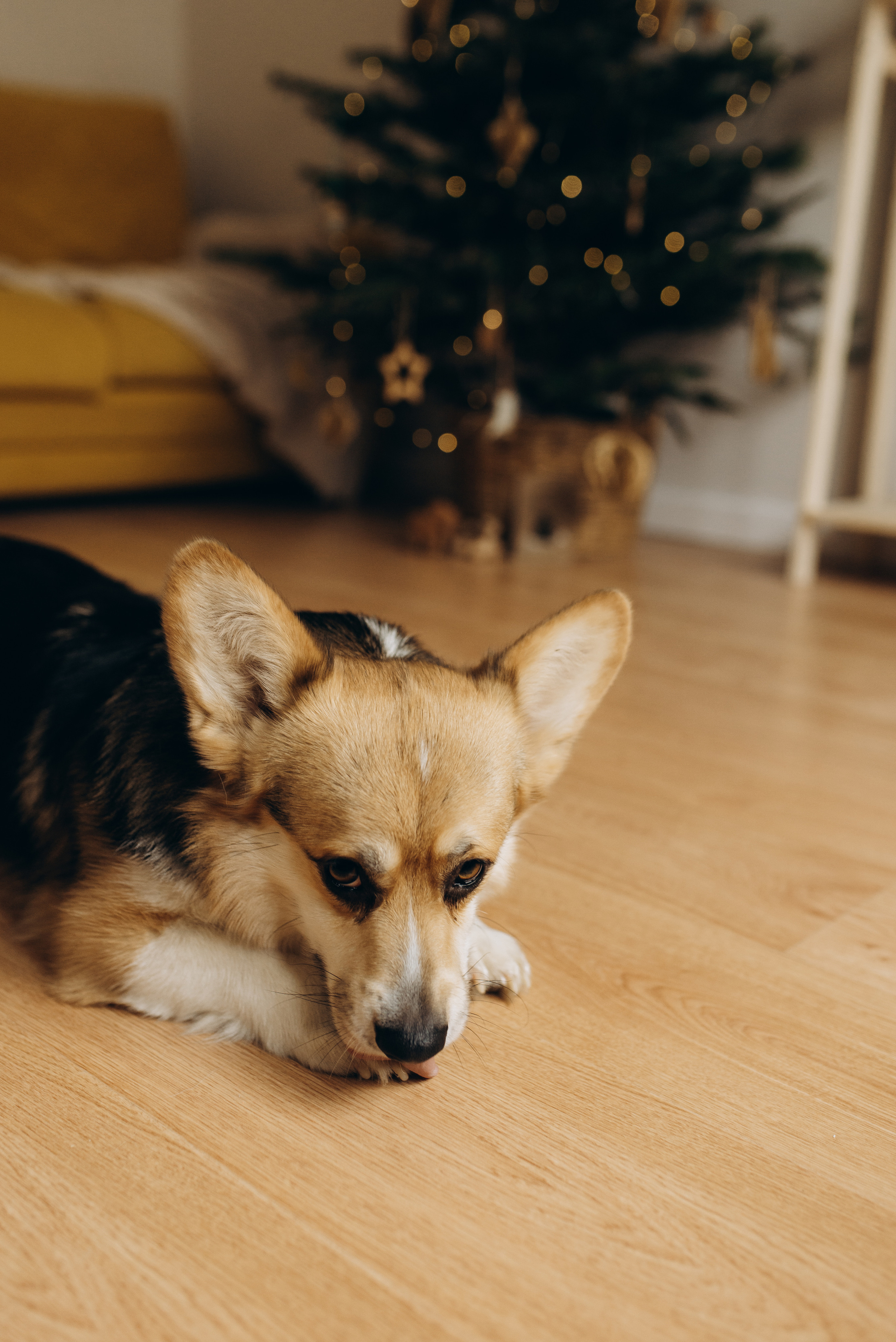 Оля и Максим. Семейный фотограф в Москве Алина Сергеева