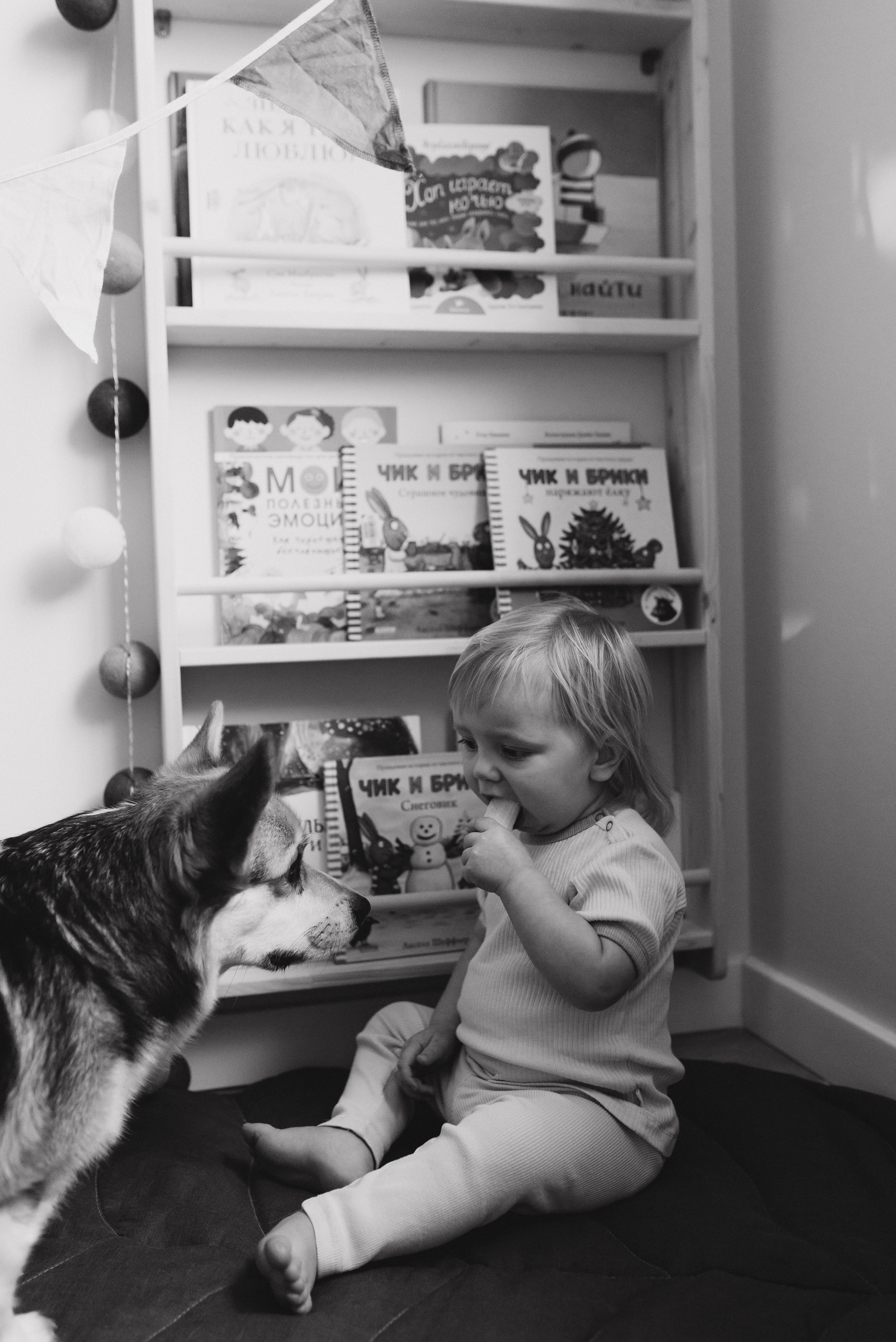 Оля и Максим. Семейный фотограф в Москве Алина Сергеева