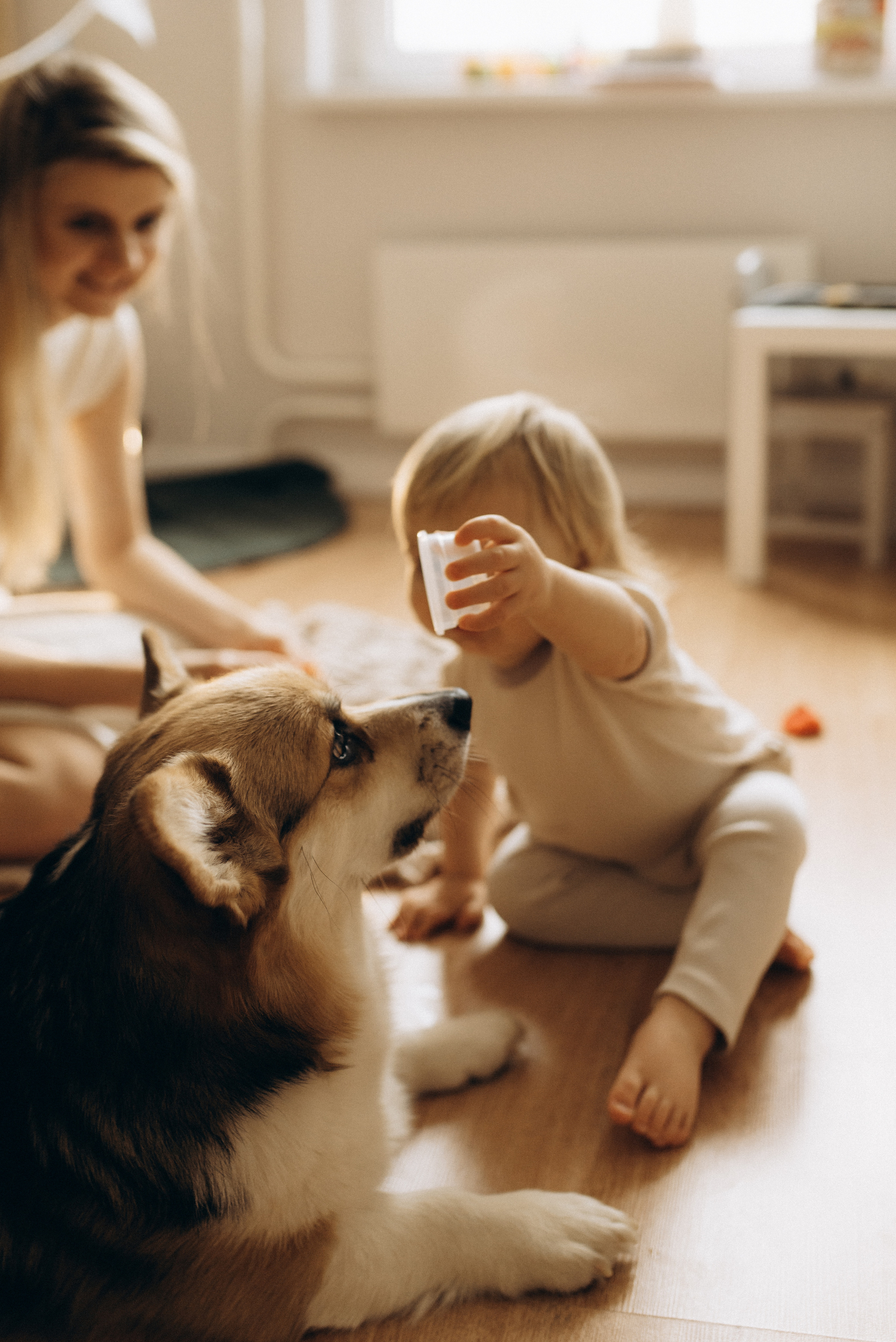 Оля и Максим. Семейный фотограф в Москве Алина Сергеева