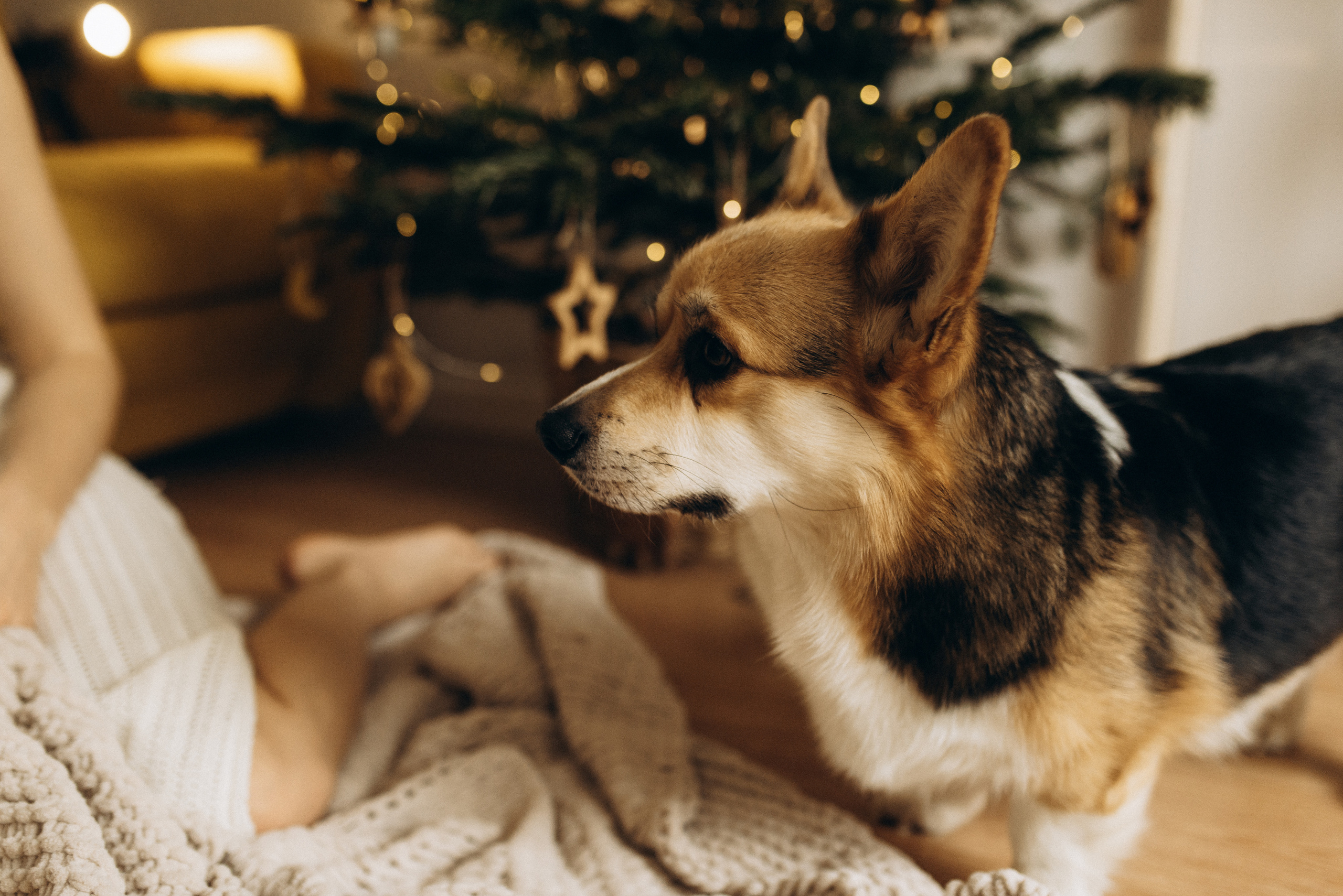 Оля и Максим. Семейный фотограф в Москве Алина Сергеева
