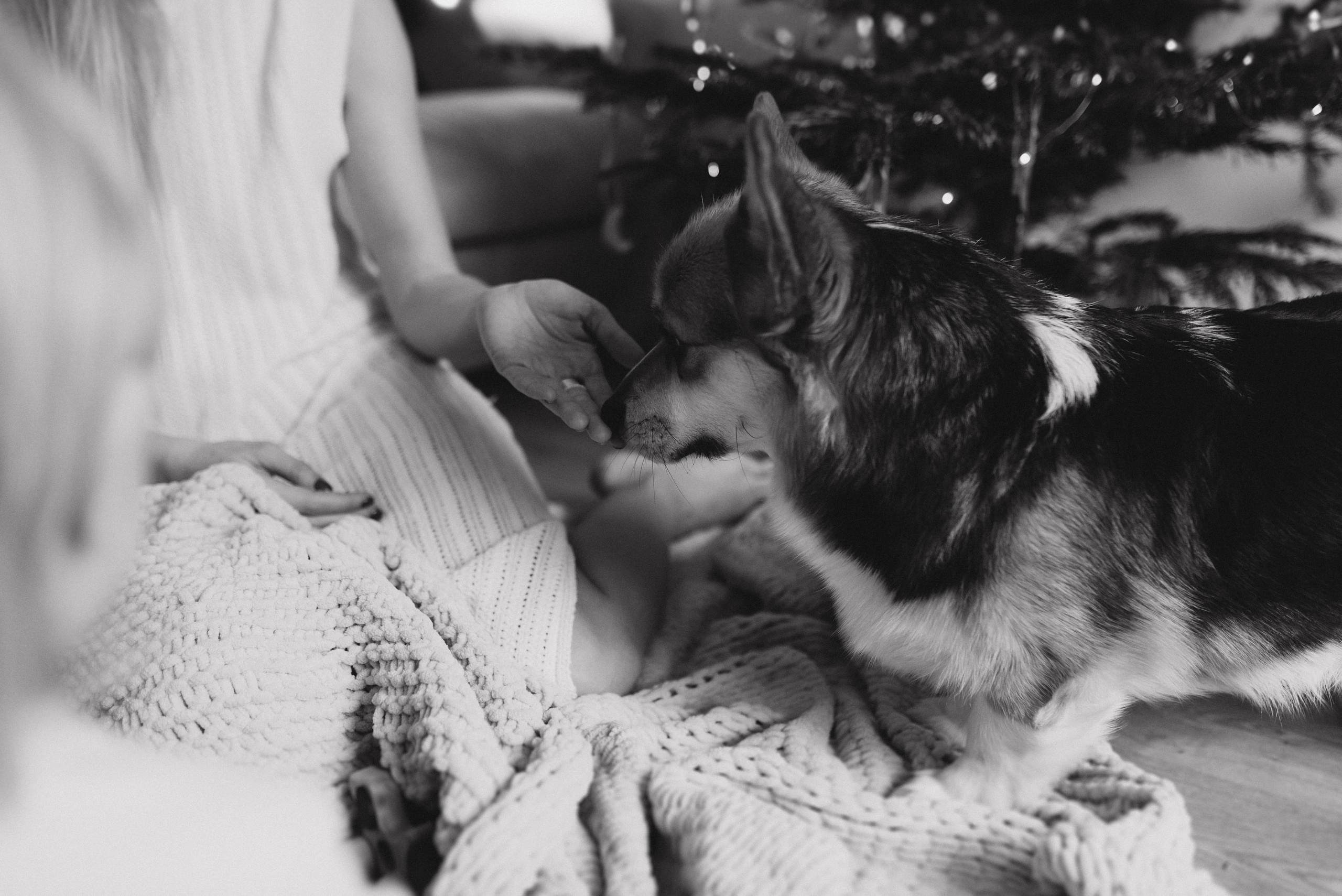 Оля и Максим. Семейный фотограф в Москве Алина Сергеева