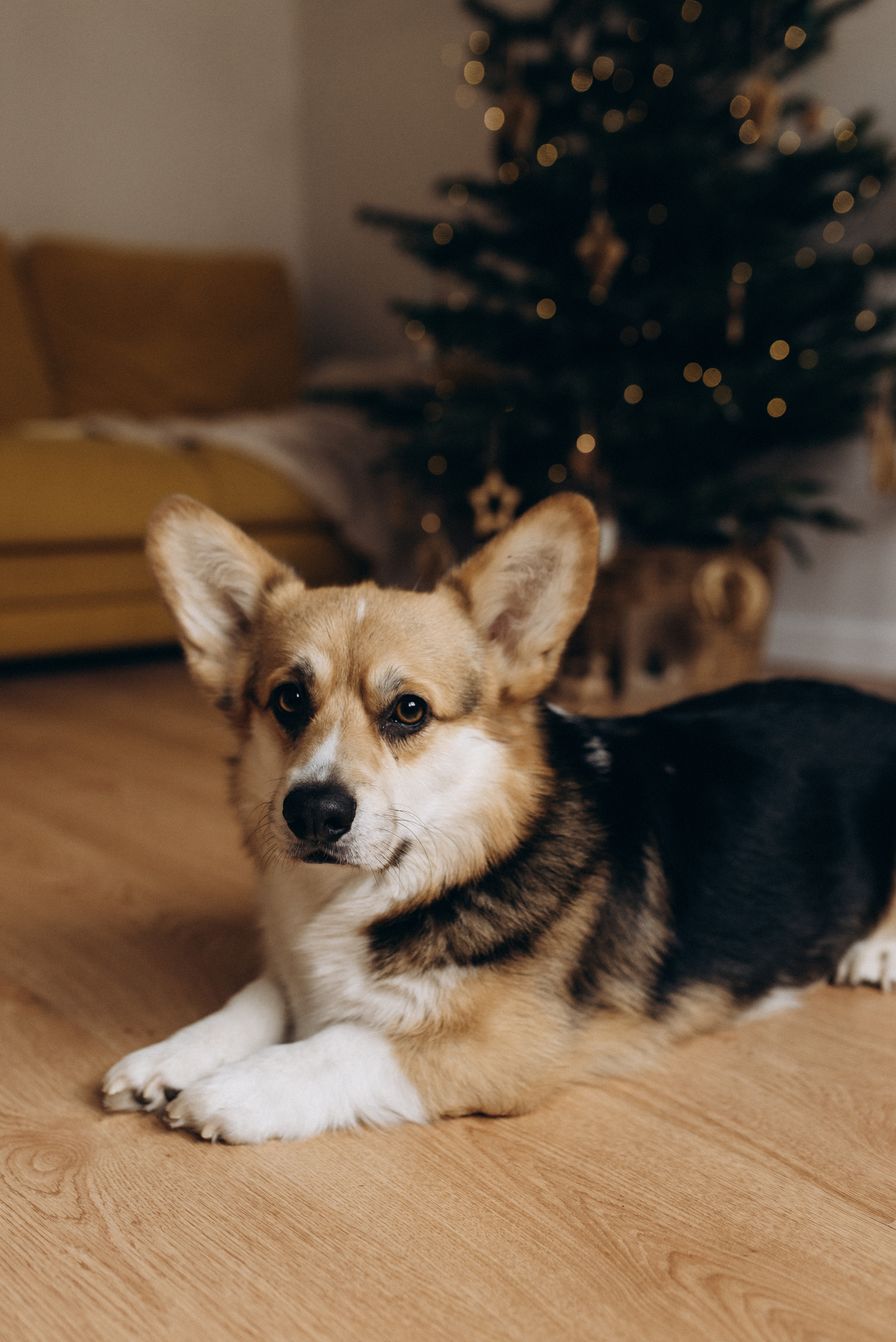 Оля и Максим. Семейный фотограф в Москве Алина Сергеева