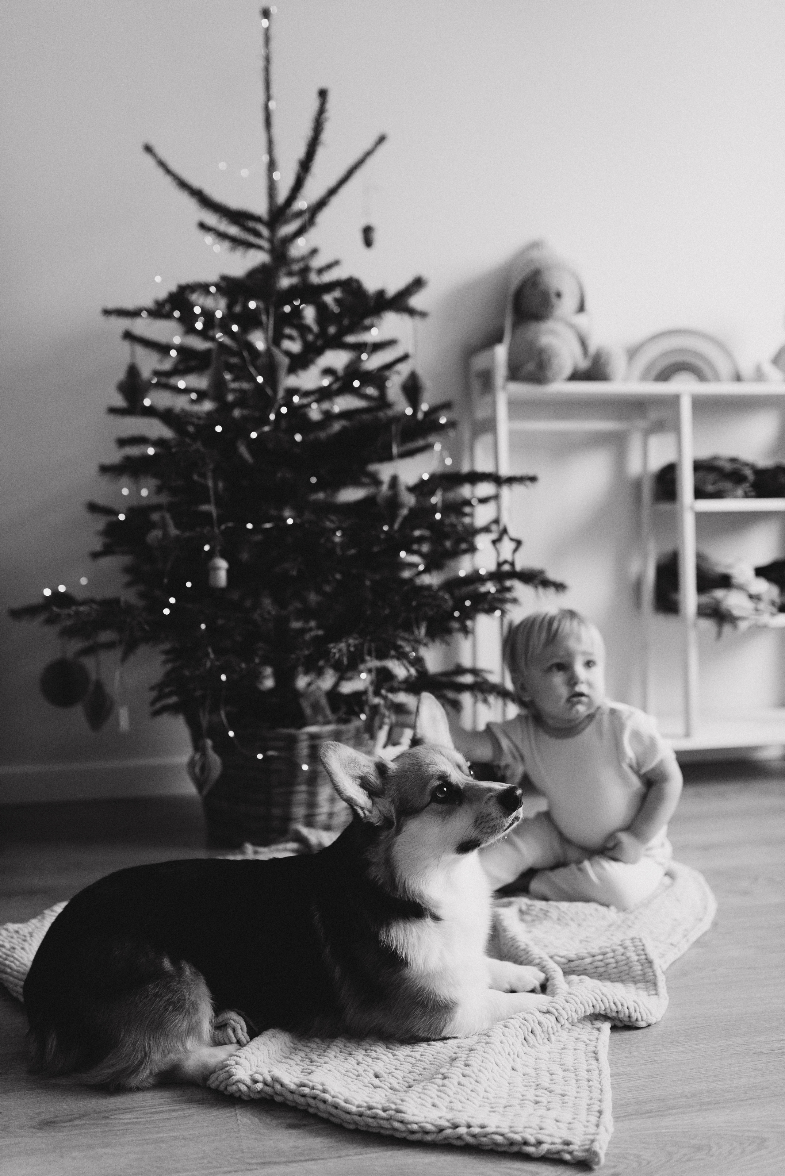 Оля и Максим. Семейный фотограф в Москве Алина Сергеева