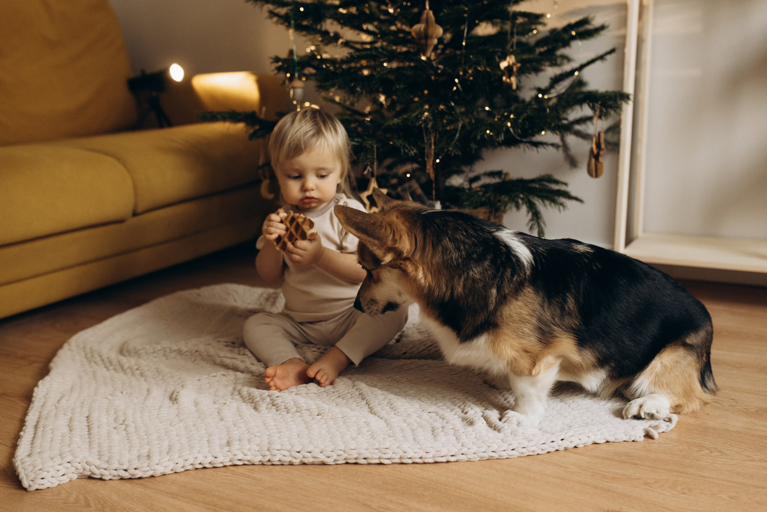 Оля и Максим. Семейный фотограф в Москве Алина Сергеева
