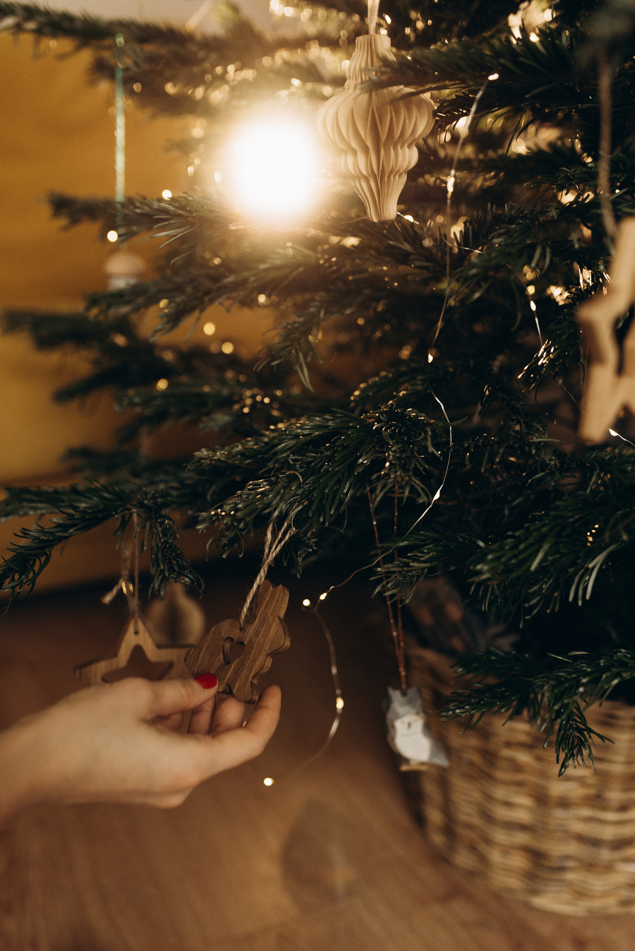 Оля и Максим. Семейный фотограф в Москве Алина Сергеева
