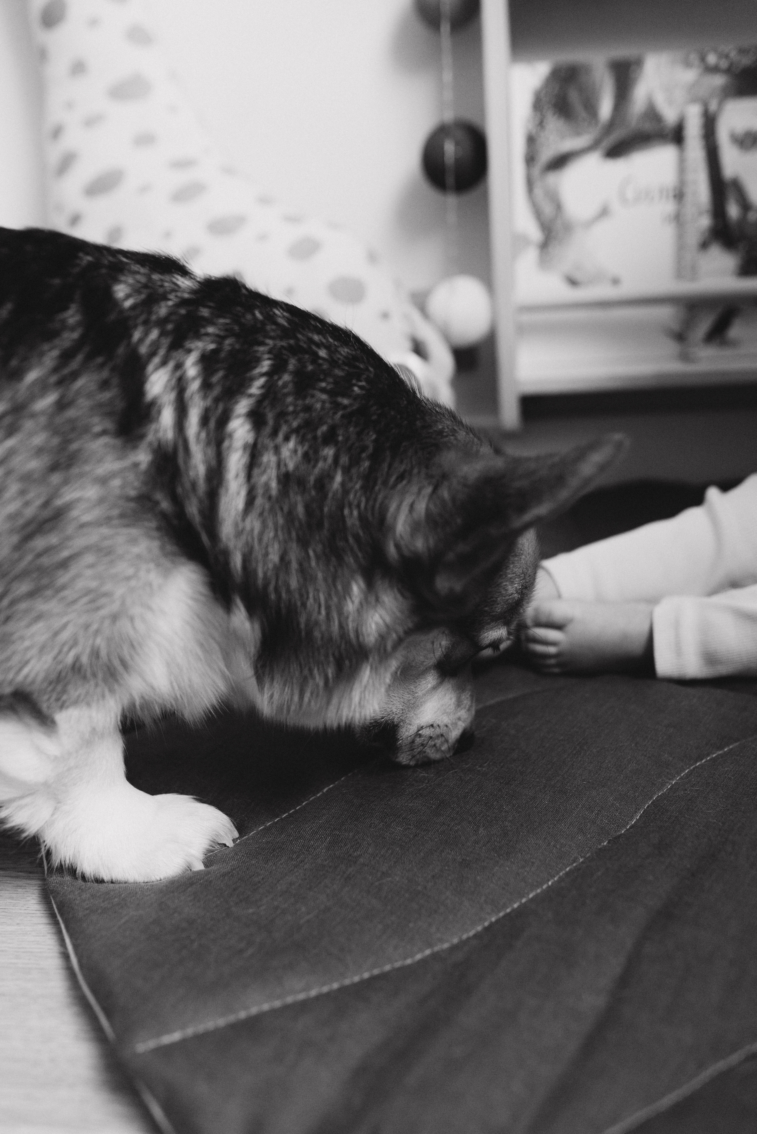 Оля и Максим. Семейный фотограф в Москве Алина Сергеева