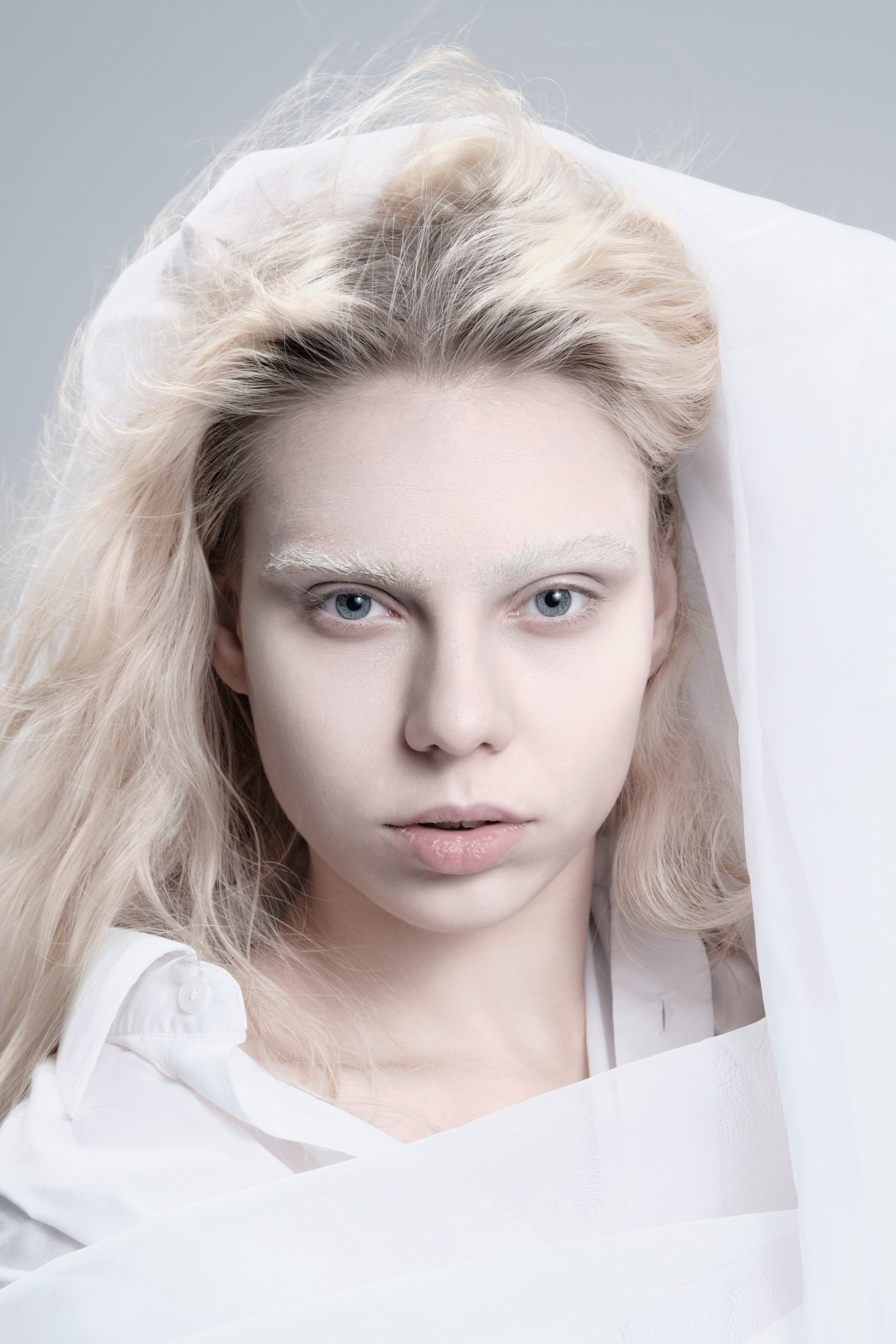 АРТ 2026. NVSL STD