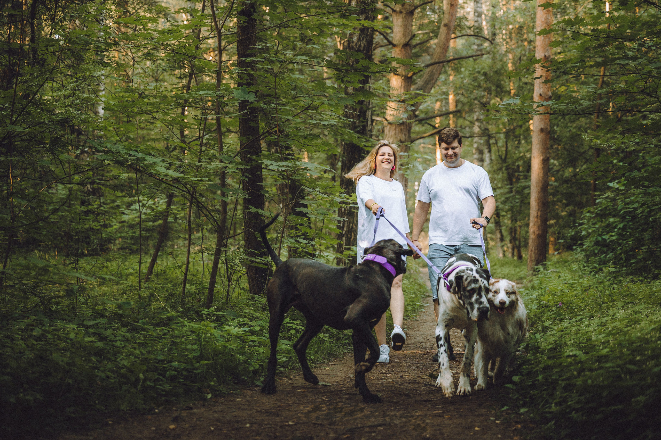 Катя, Андрей, Гектор, Ричи, Тортик и Трой