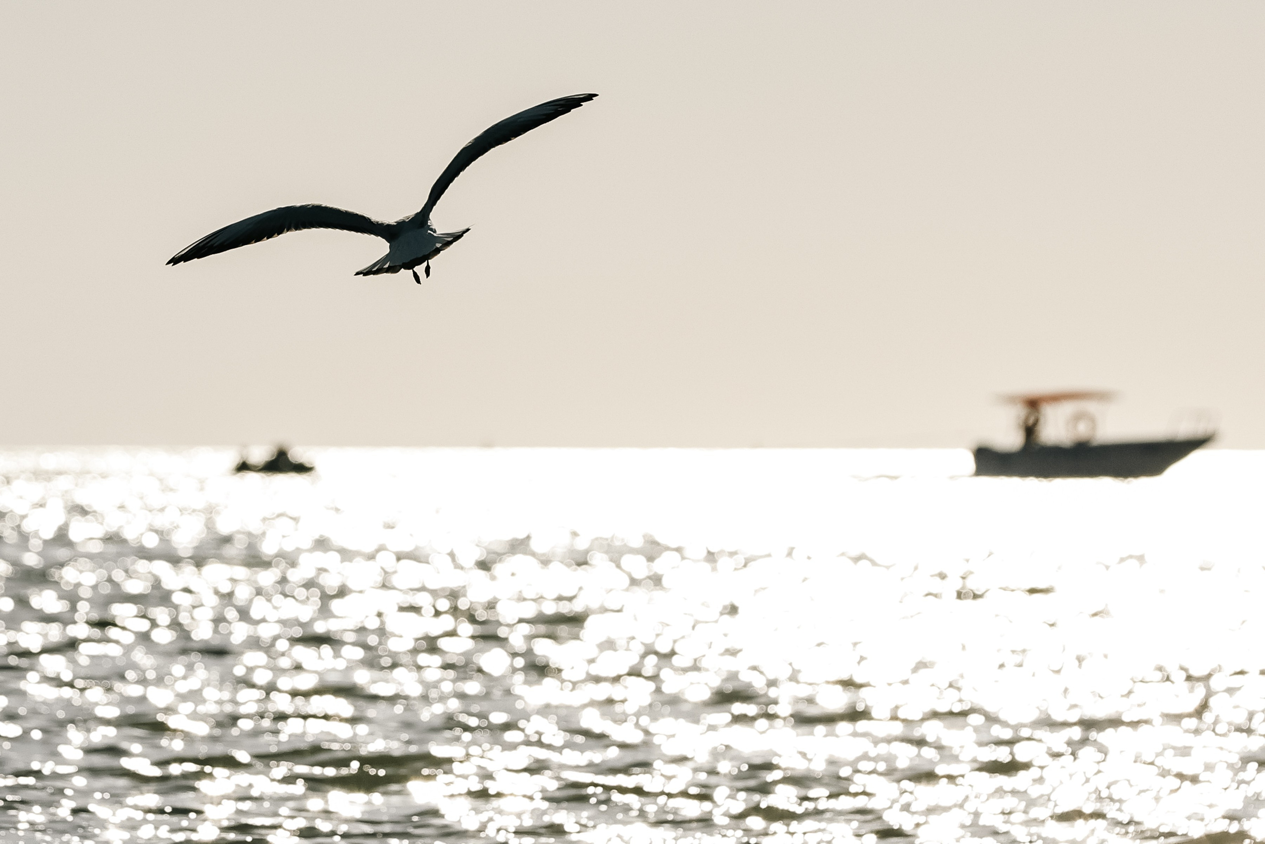 События, происшествия, повседневная жизнь. Роман Наумов профессиональный фотограф