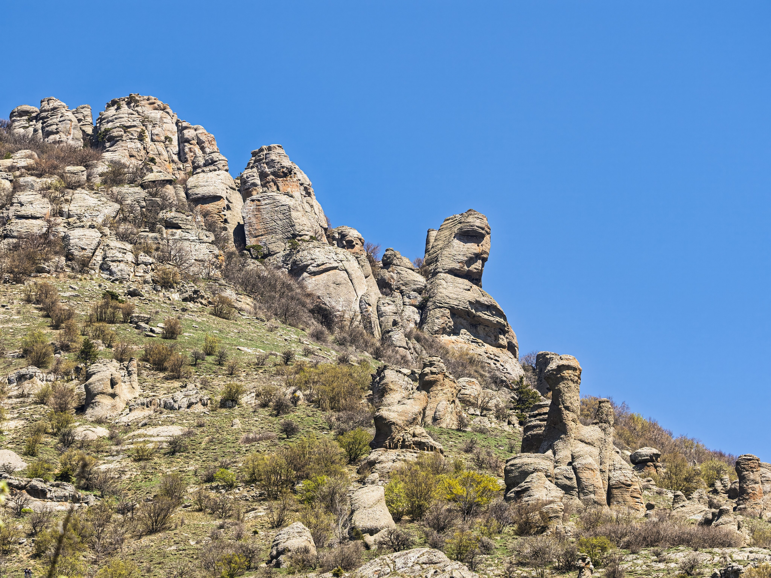 Крым, Утес, 2021 год. Фотограф Никифоров-Гордеев Сергей. Москва и МО