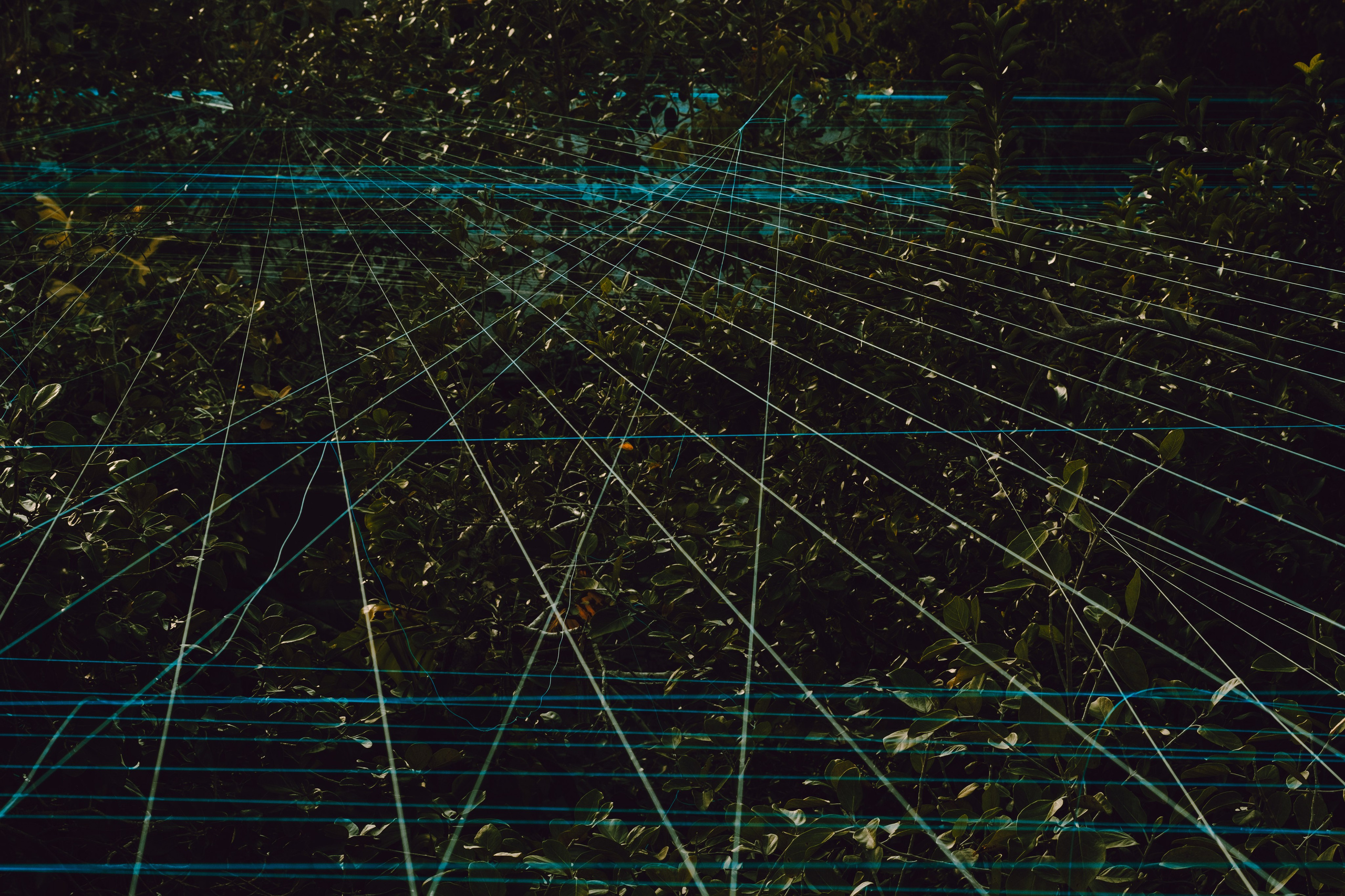 Margarita Rodionova — a contemporary lens-based artist currently working in Cancun, Mexico