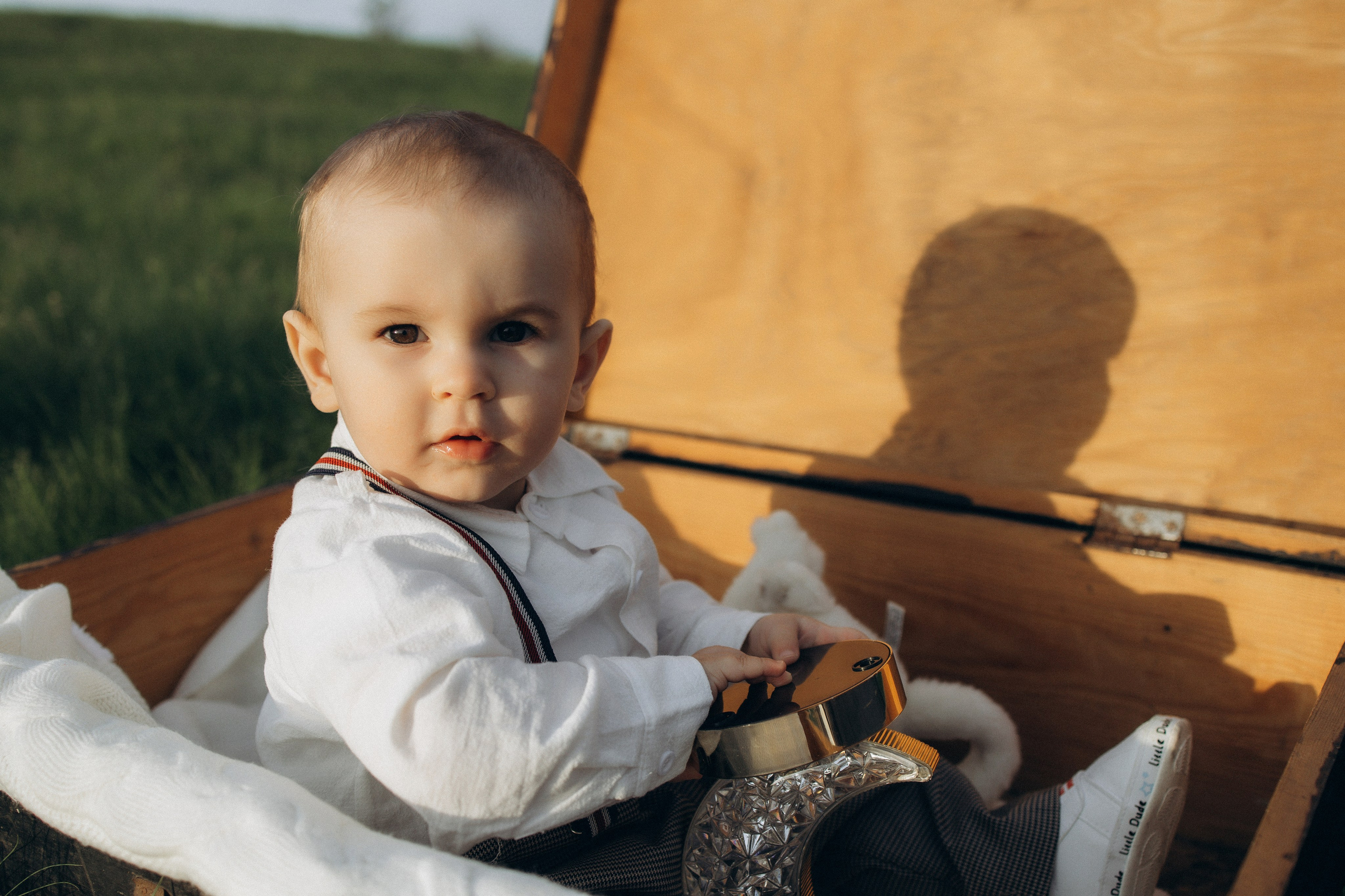 Львиный годик. Семейный фотограф Донецк