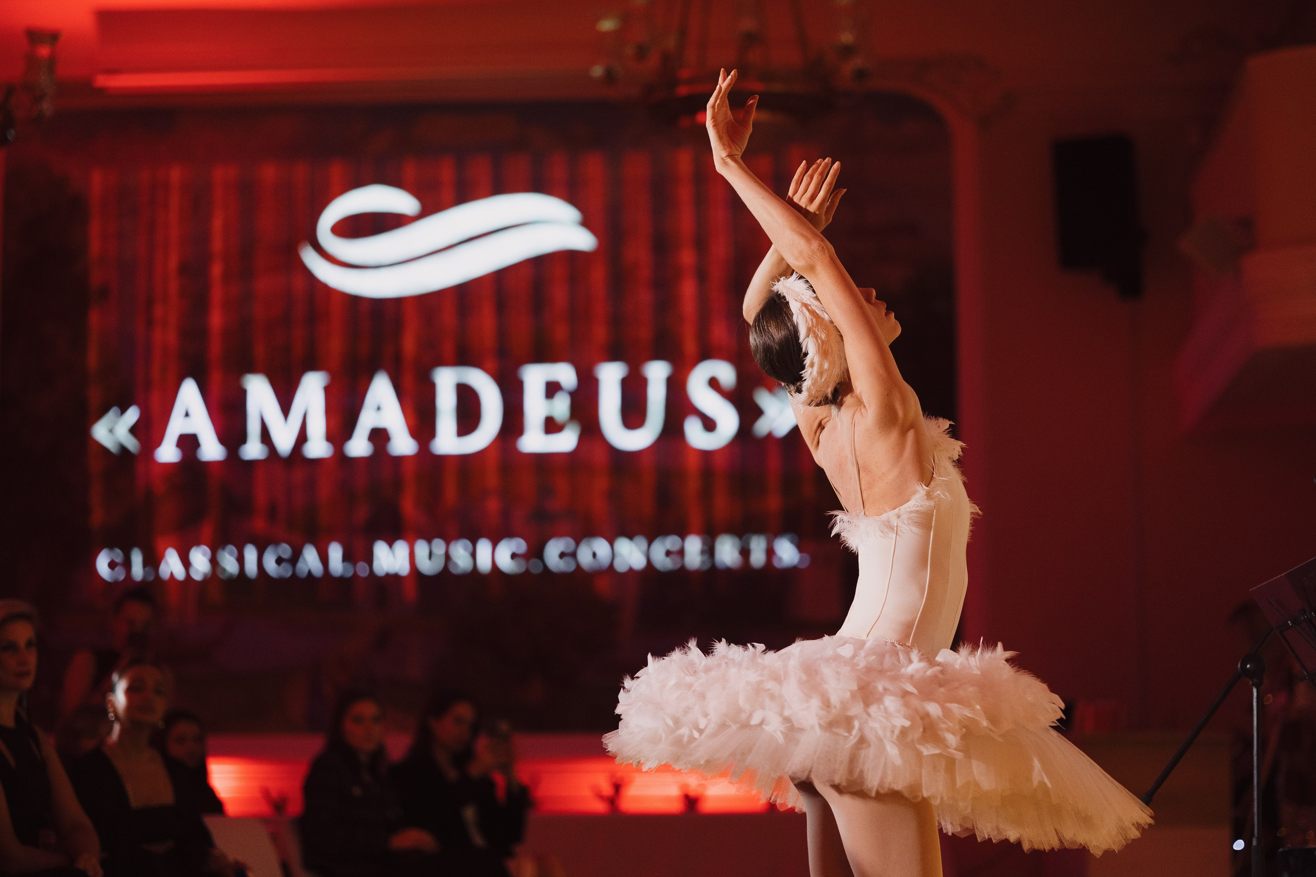AMADEUS — Концерт. Портретный и репортажный фотограф в Казани Максим Сипачев