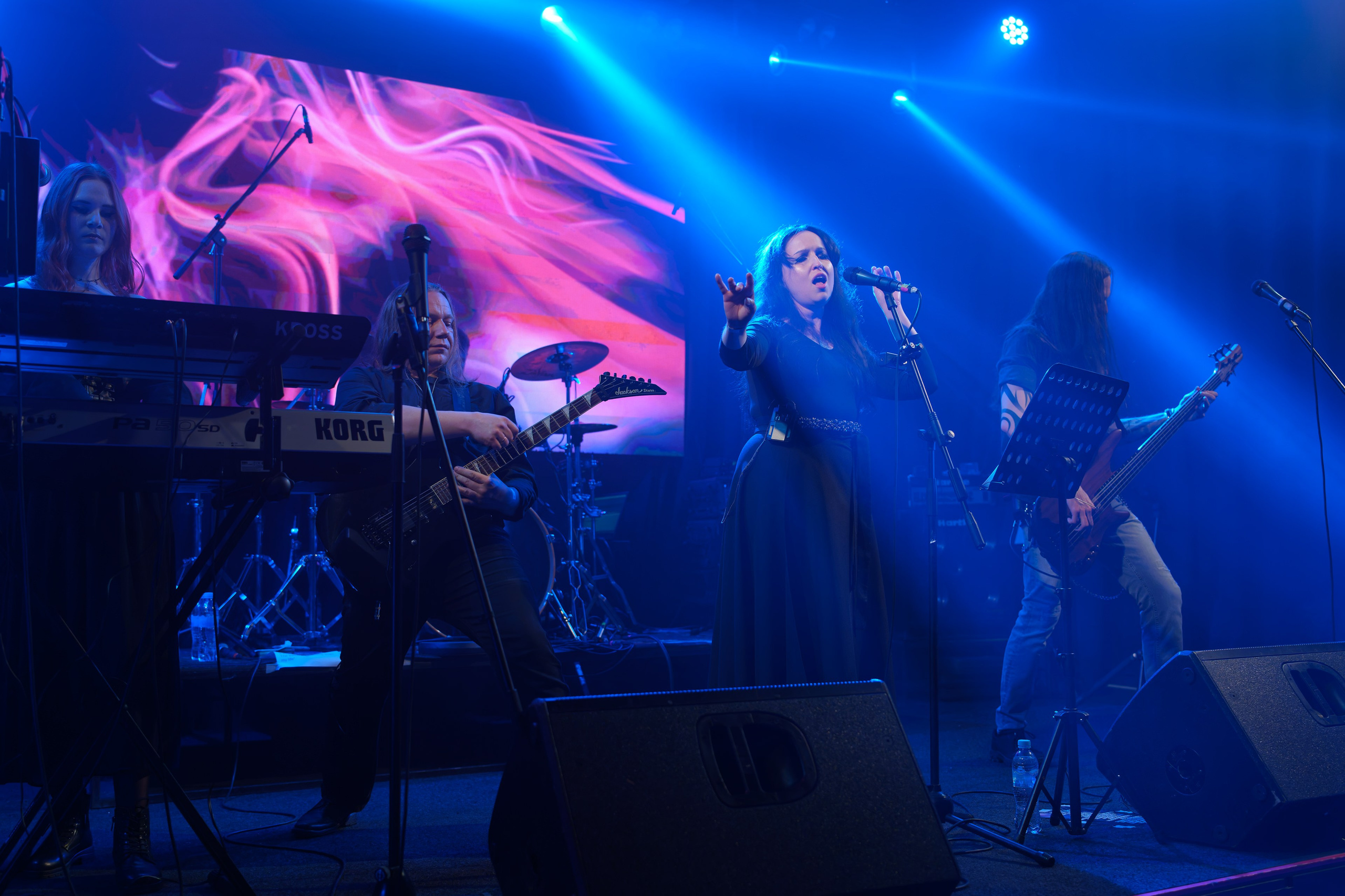 Группа Nimea (Nightwish кавер). Андрей Васильев. Фотограф, Санкт-Петербург, Российская Федерация