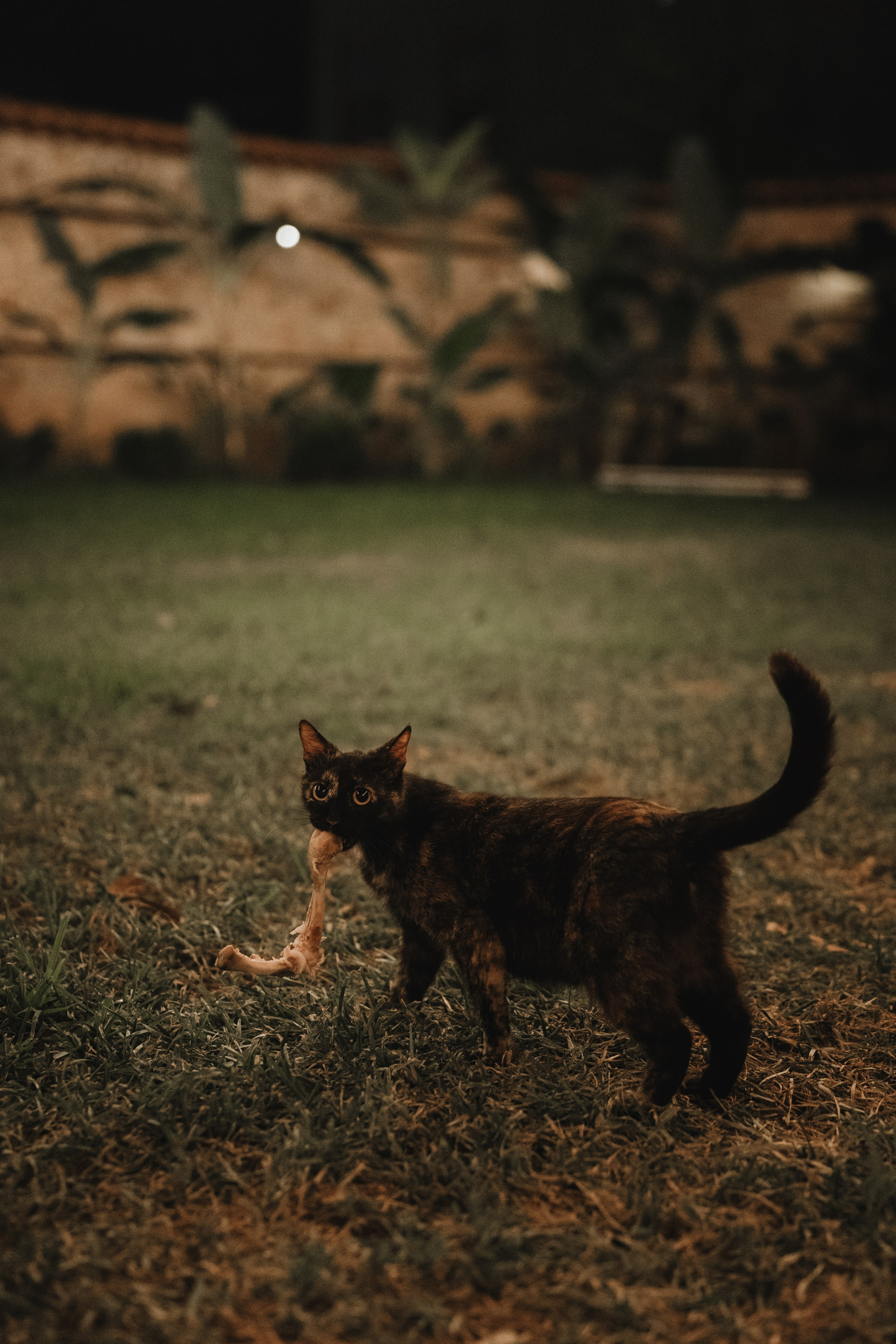 Casa Sur. Wedding & Documentary Photographer based in Nuremberg — available across Europe & Turkey | Vitalii Nasonov