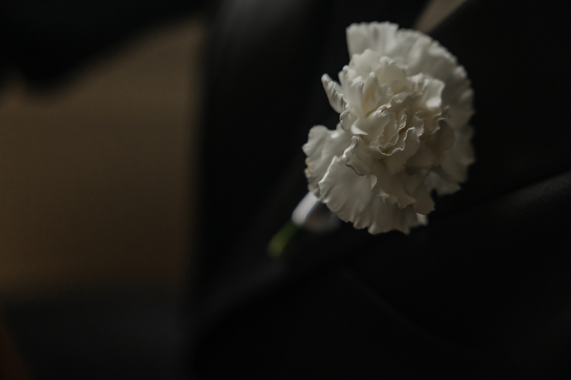 Татьяна & Николай. Свадебный фотограф в Москве и Санкт-Петербурге Анастасия Мирославская