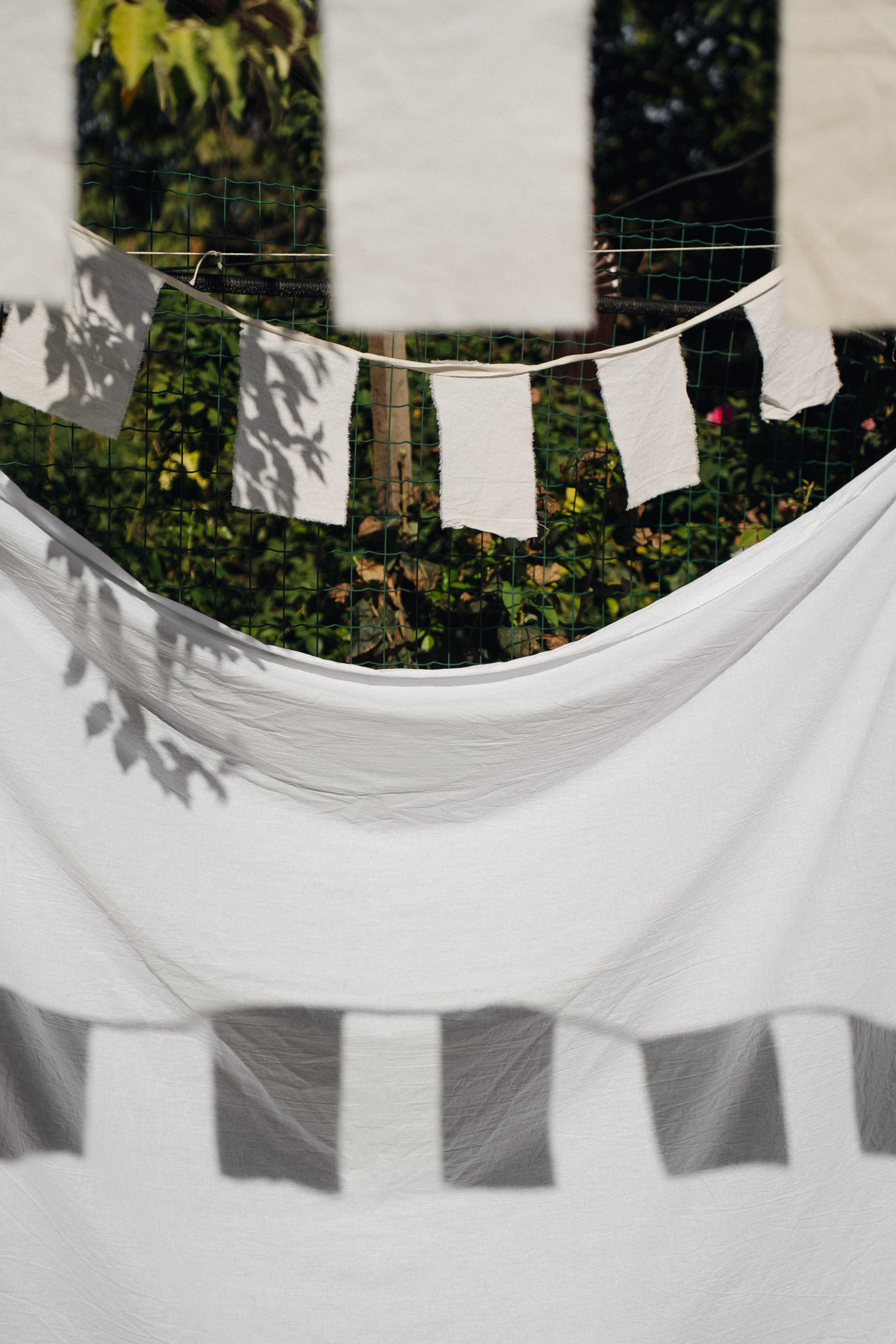 Гендер-пати. Свадебный фотограф в Краснодаре и Сочи Винидиктова Екатерина